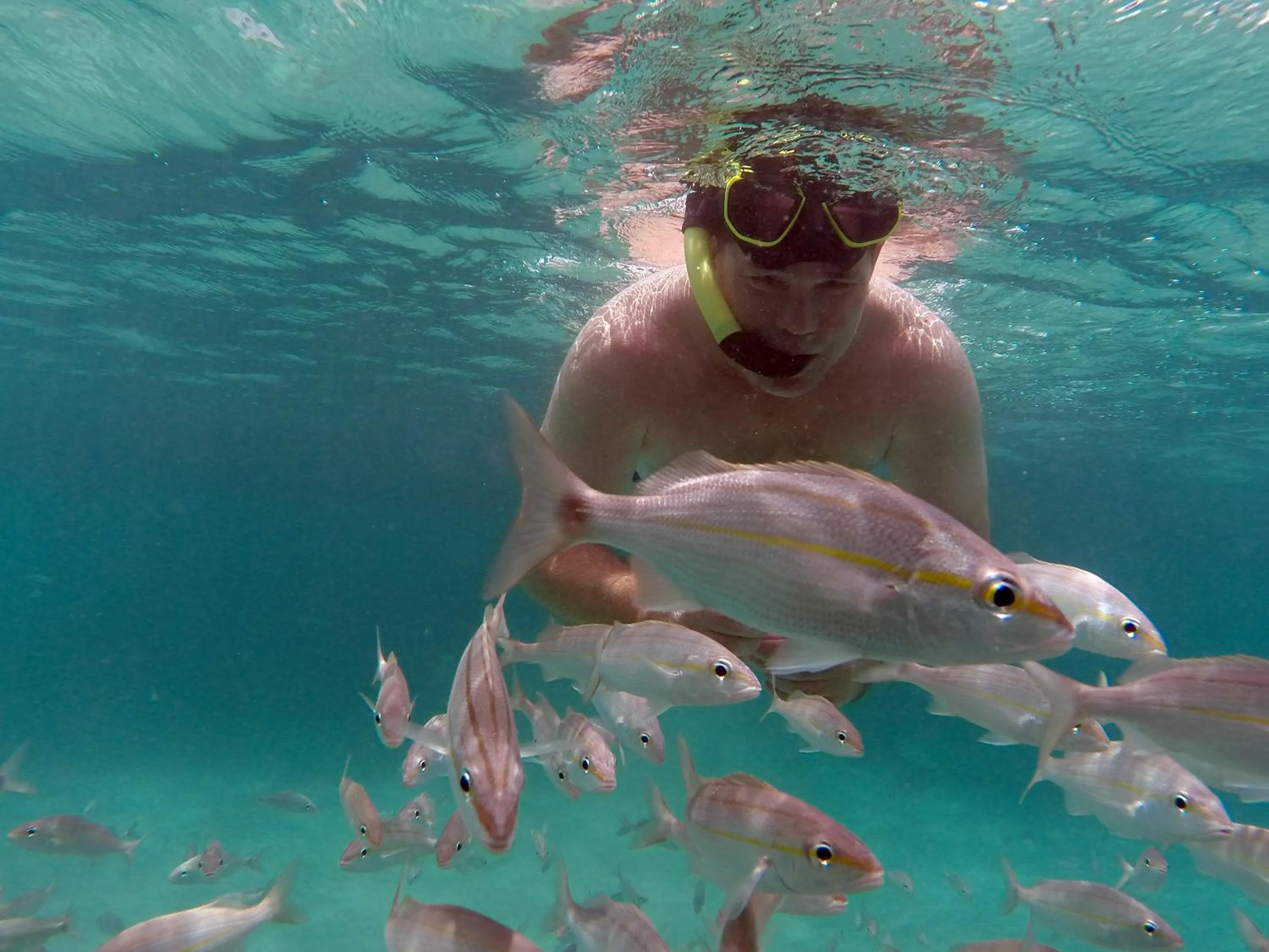 Diving in Hotel Enseada Maracajaú