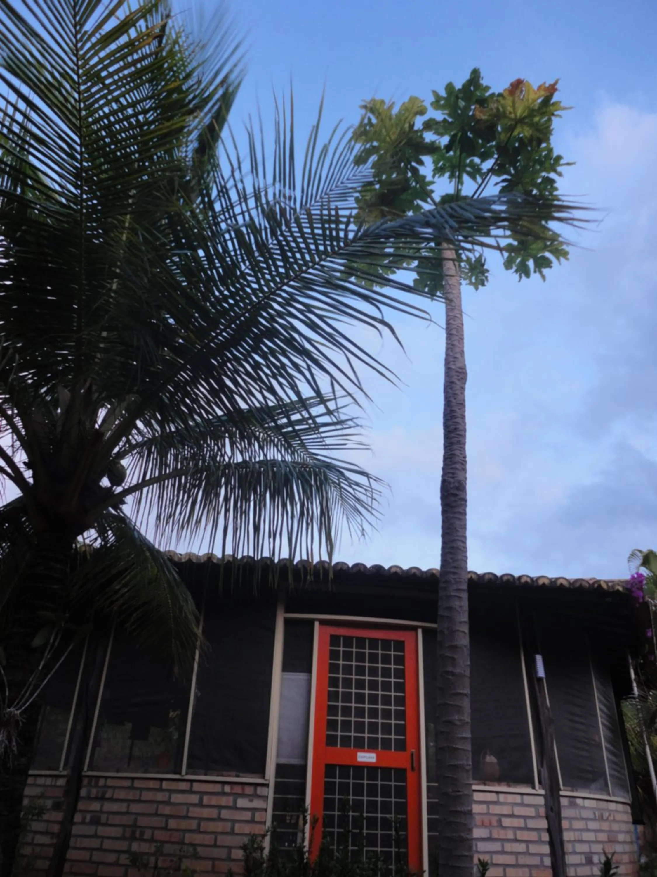 Restaurant/places to eat in Hotel Enseada Maracajaú