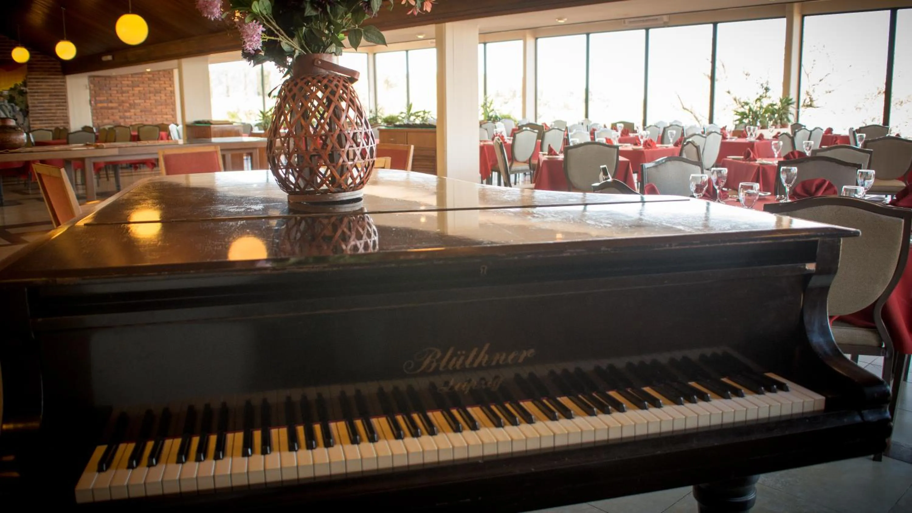 Decorative detail in Hotel Horacio Quiroga