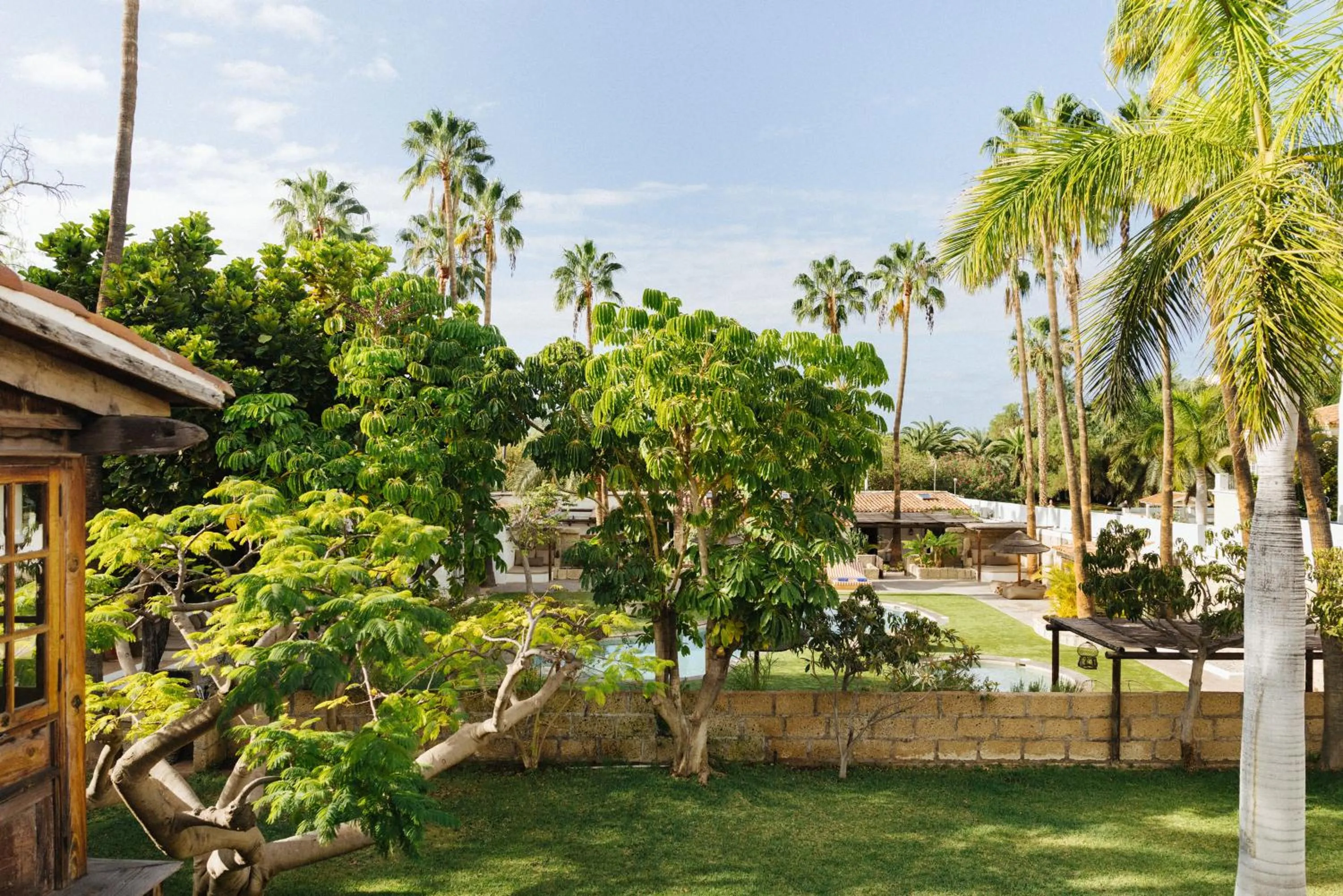Garden view in Casa Jable Nueva