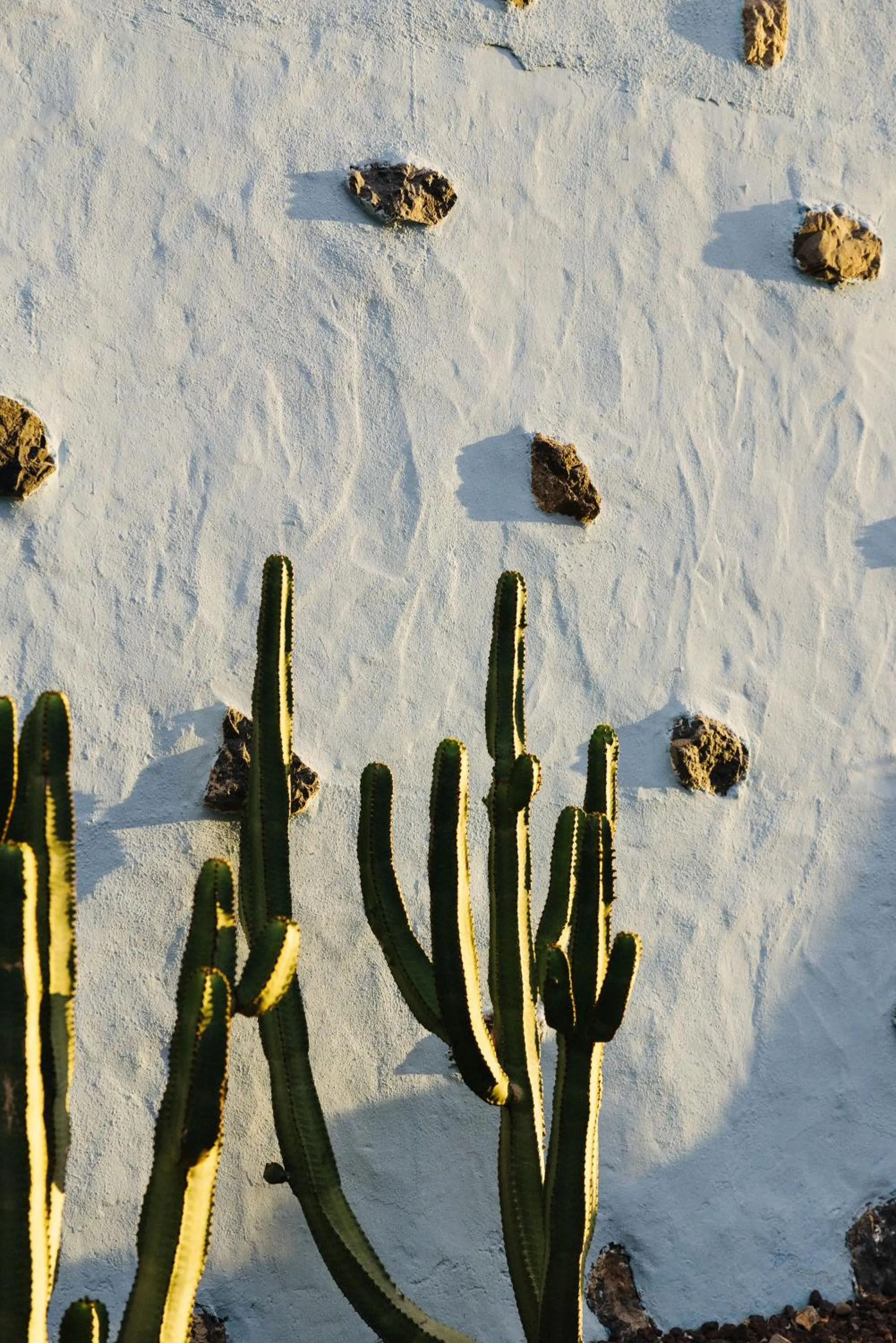 Natural landscape in Casa Jable Nueva