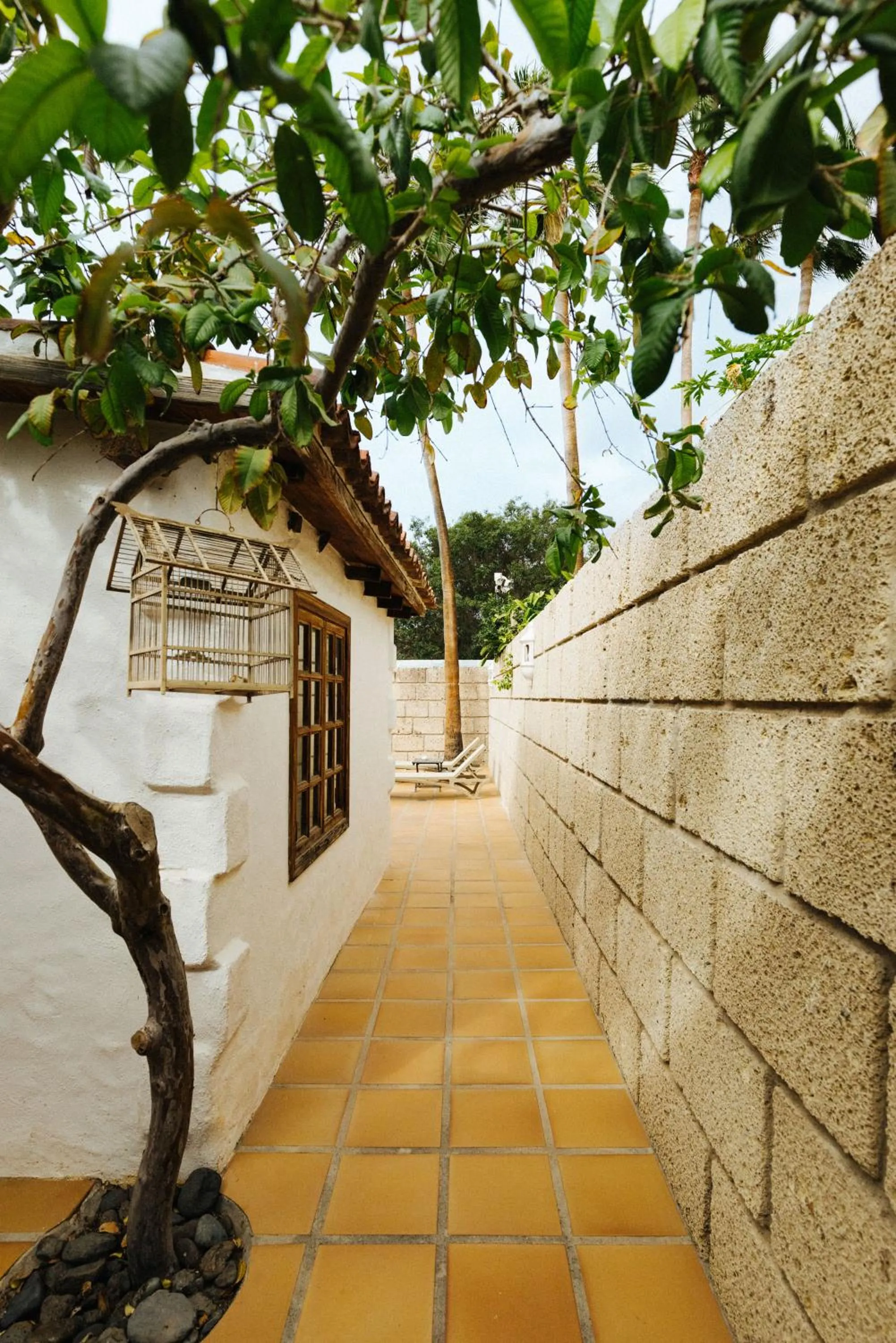 Garden view in Casa Jable Nueva