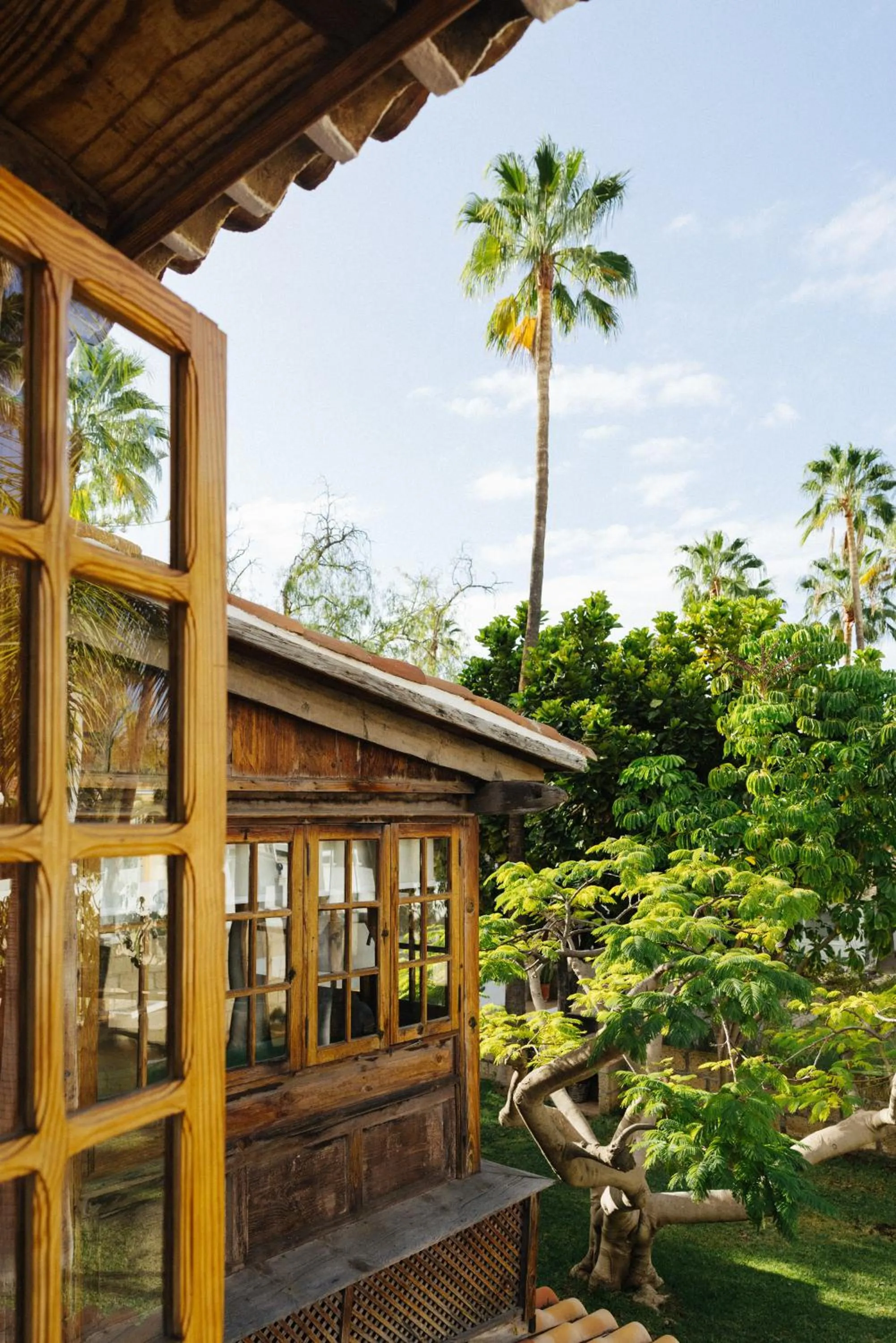 Garden view in Casa Jable Nueva