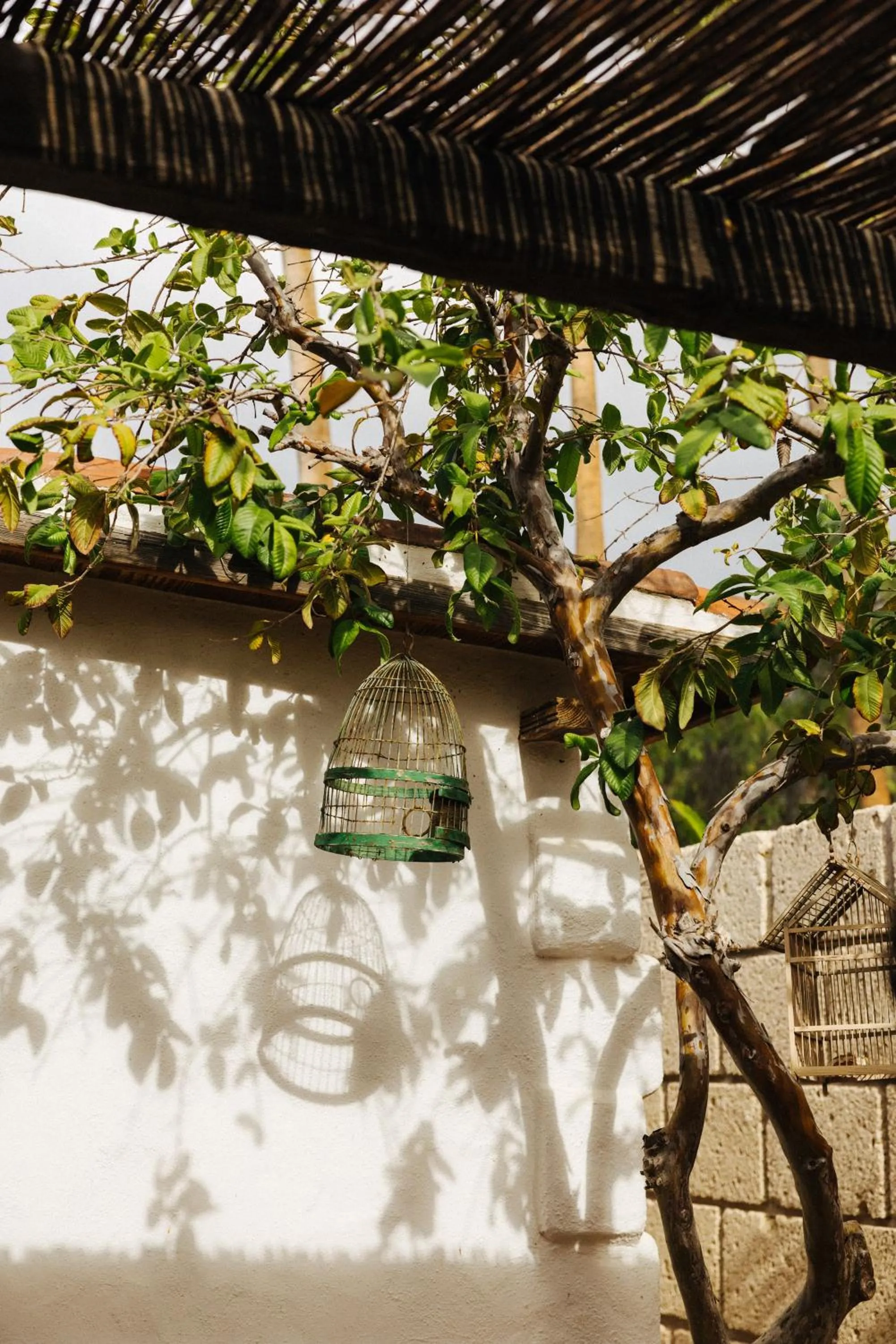 Garden view in Casa Jable Nueva