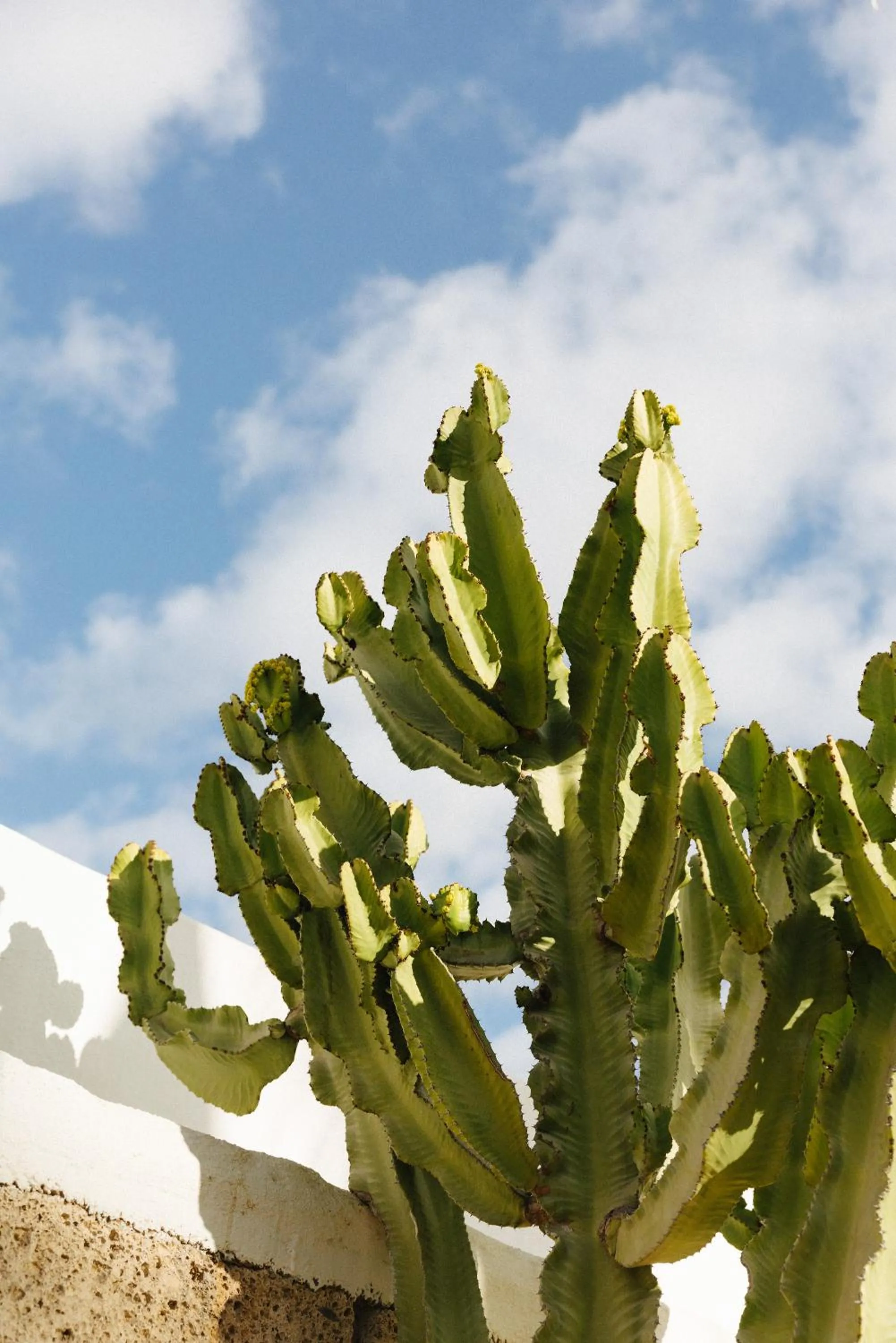 Natural landscape in Casa Jable Nueva