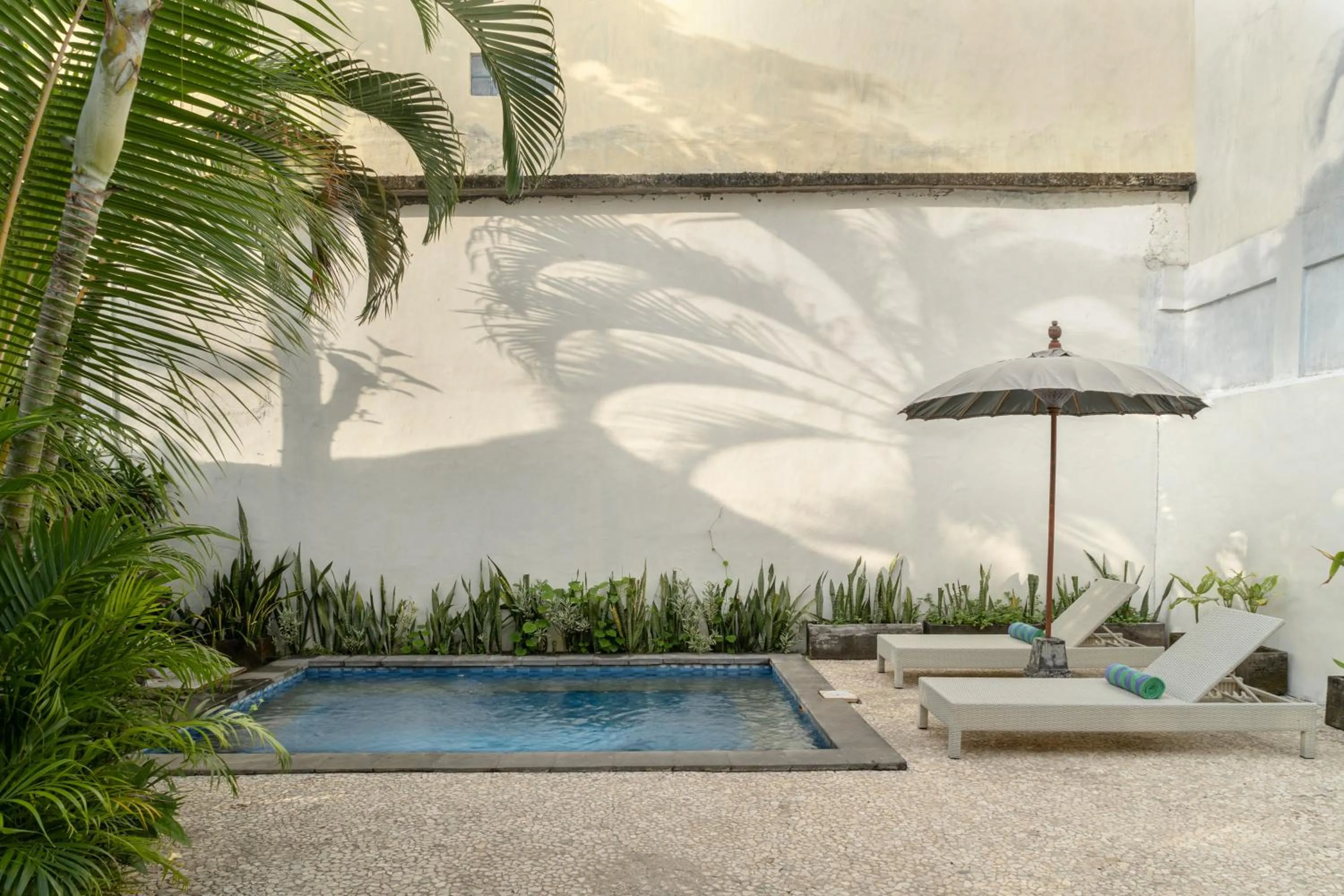 Swimming pool in The Chillhouse Canggu by BVR Bali Holiday Rentals