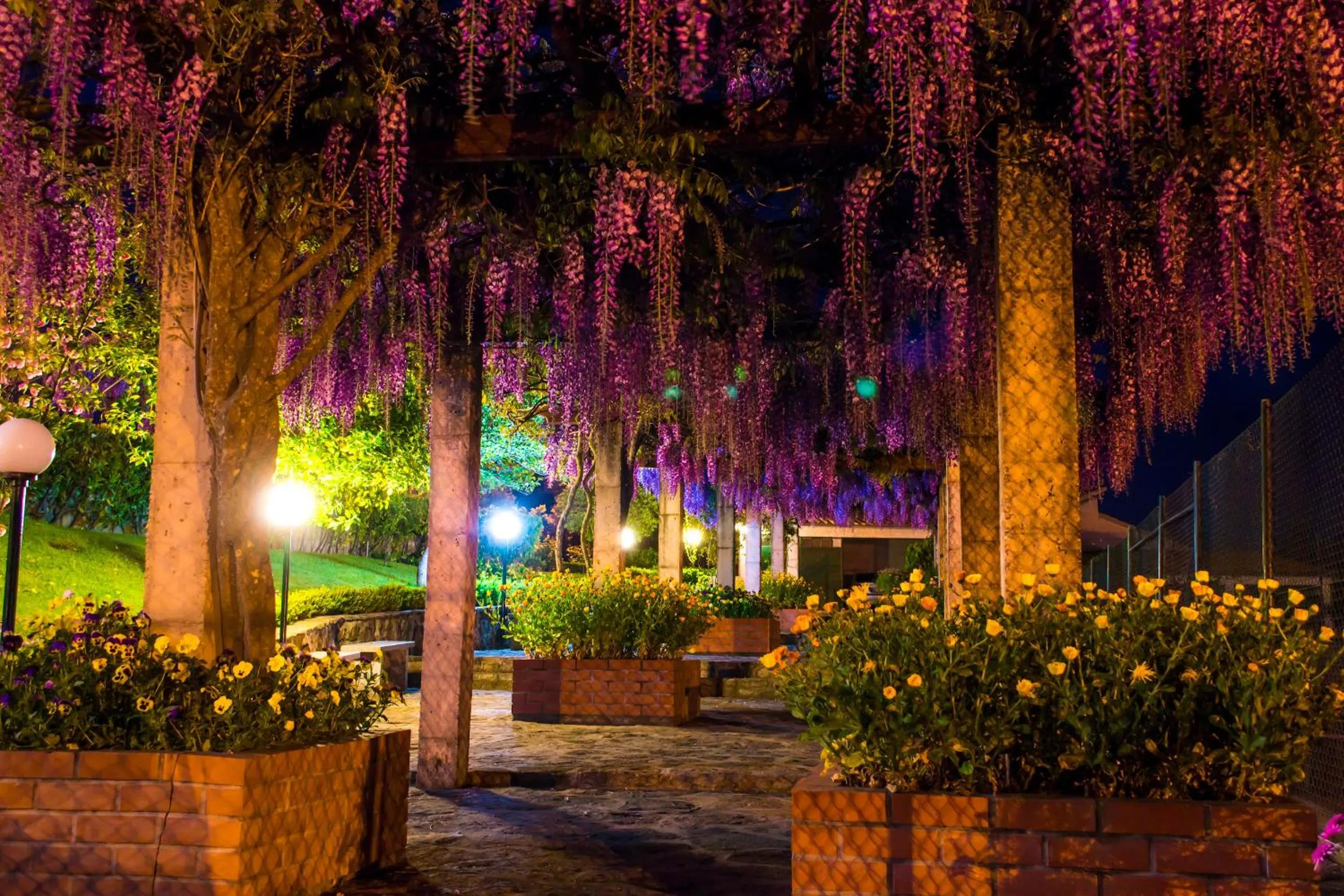 Garden in Hotel Belsol
