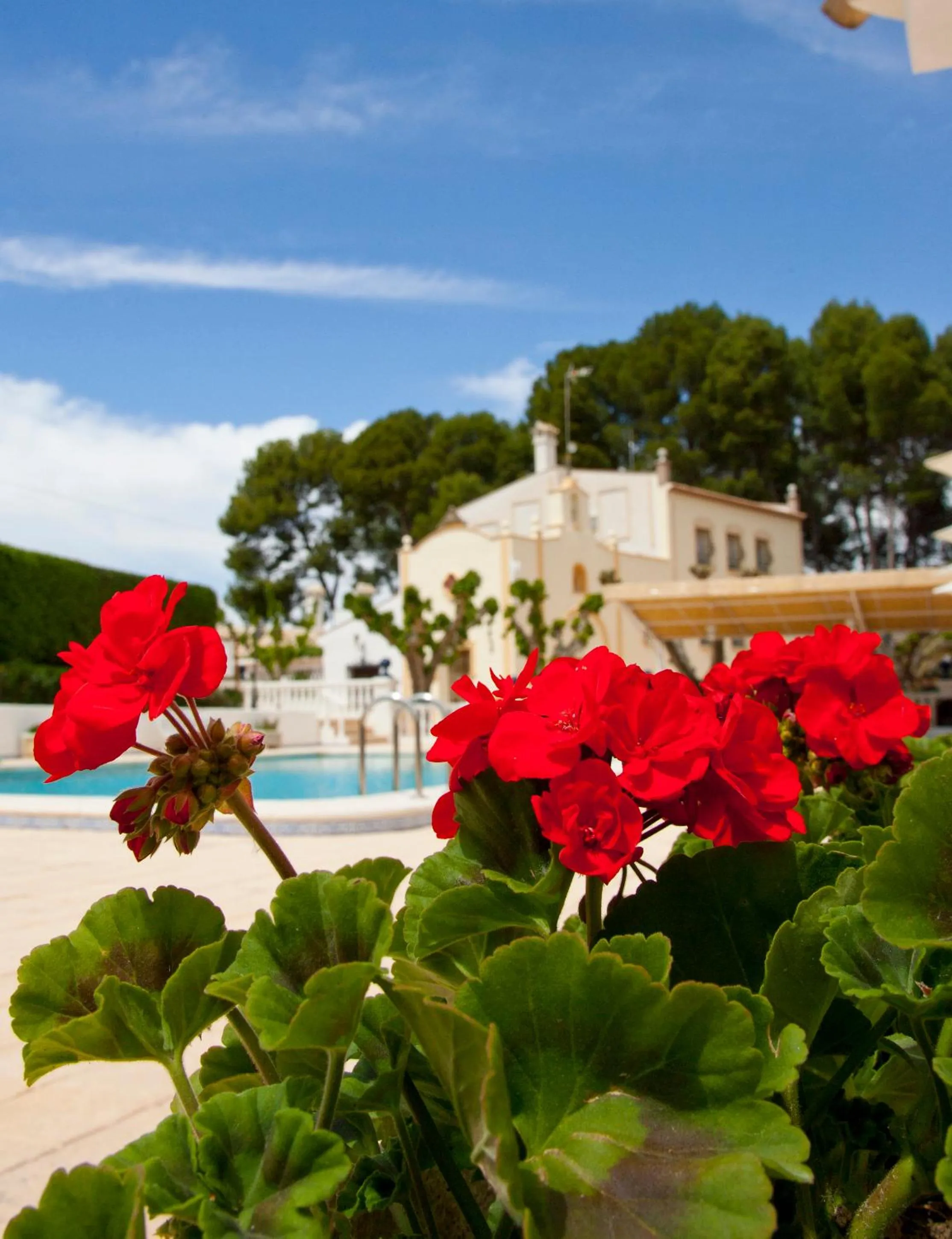 Swimming pool in Casa de La Campana