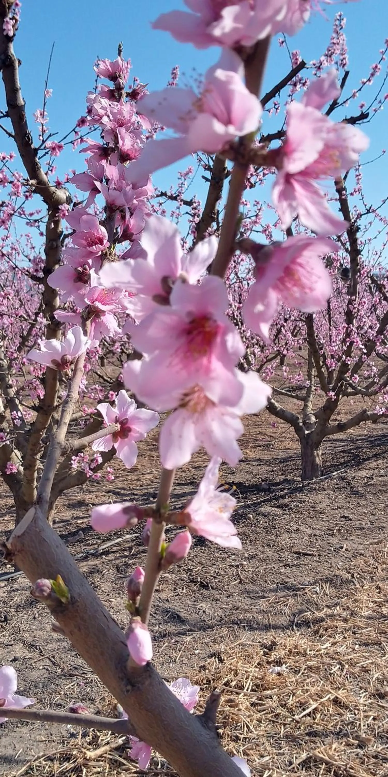 Activities in Casa de La Campana