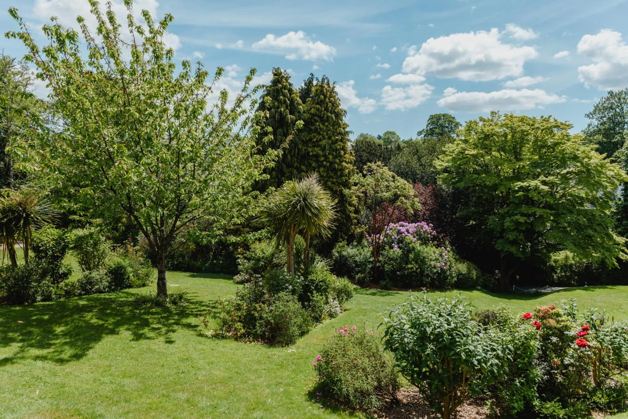 Garden view in The Alverton