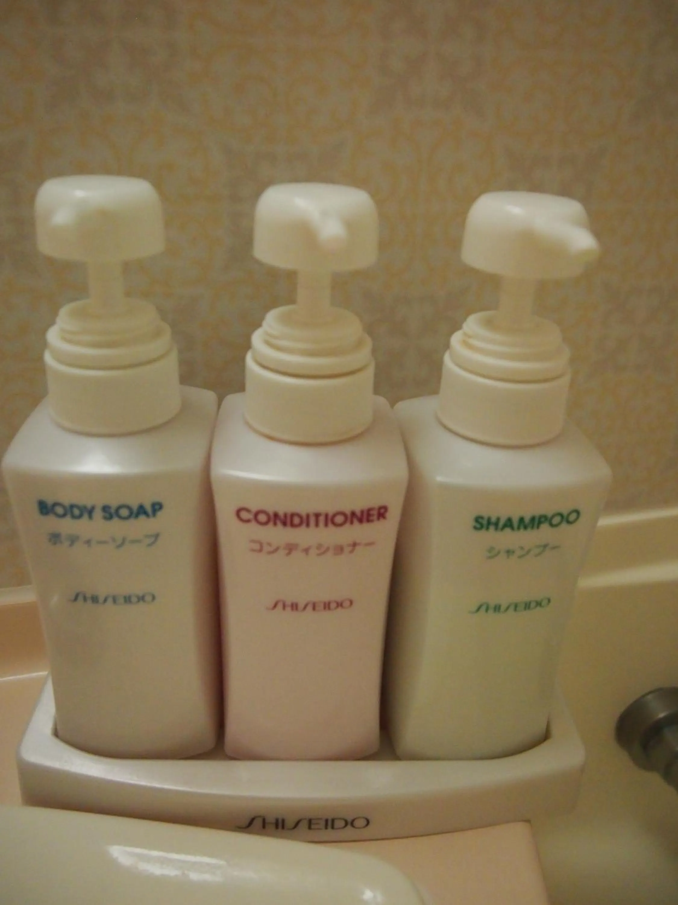 Other in Hotel Taisei Annex