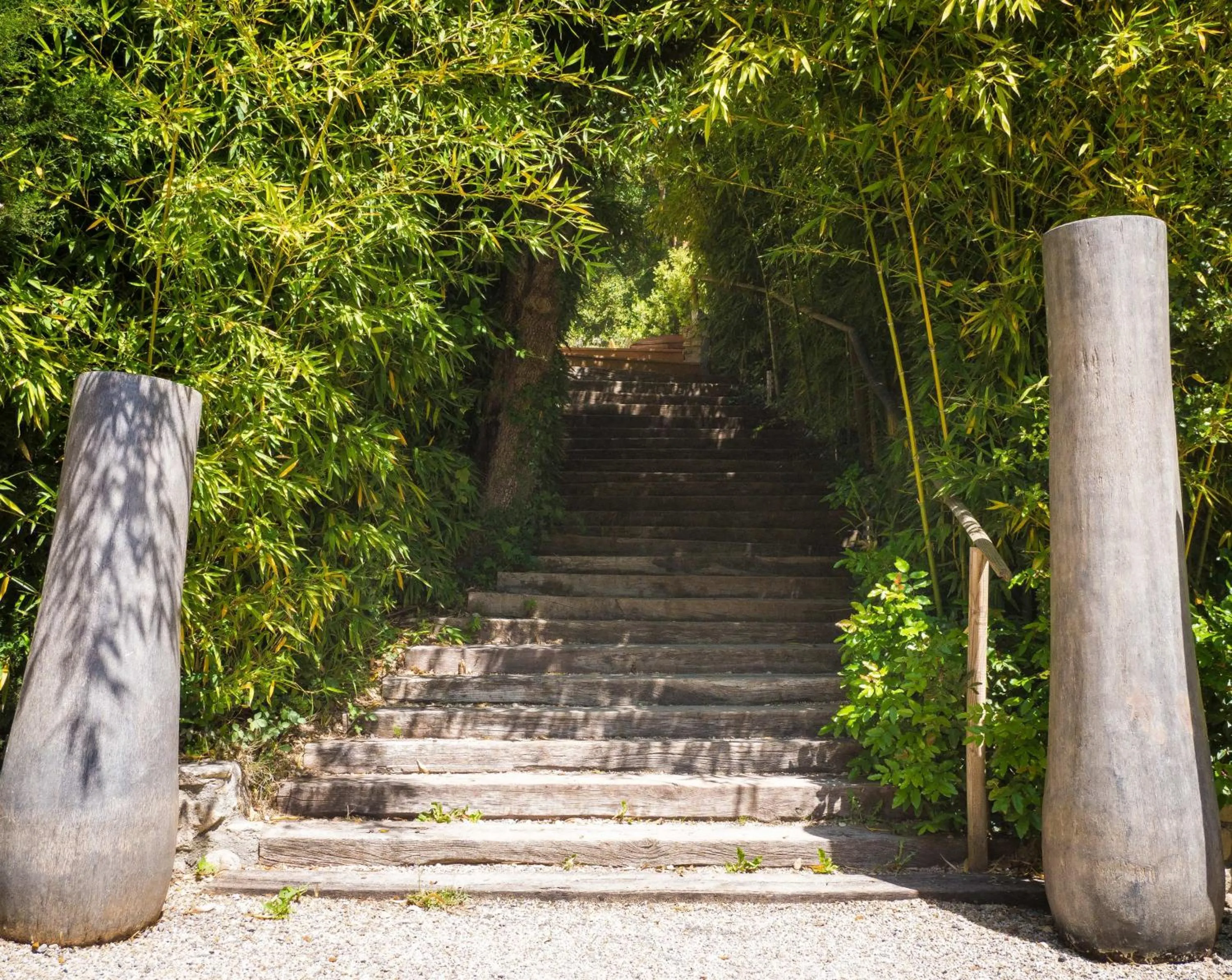 Natural landscape in Le Belvedere