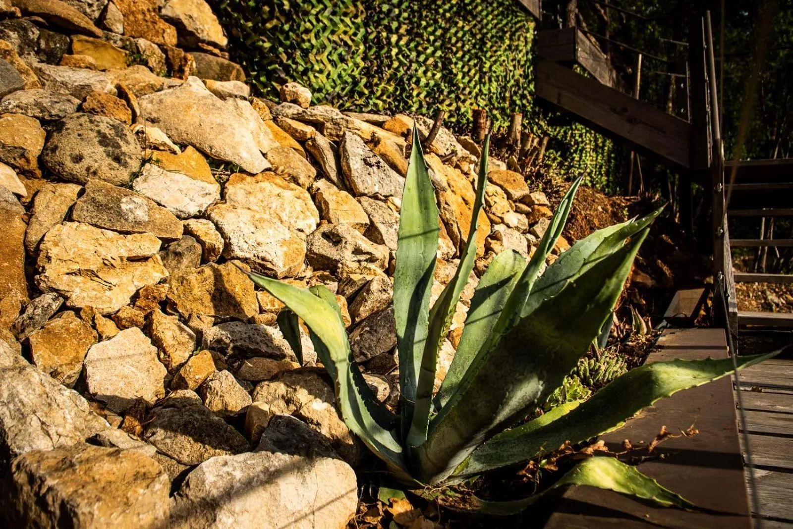 Garden in Le Belvedere