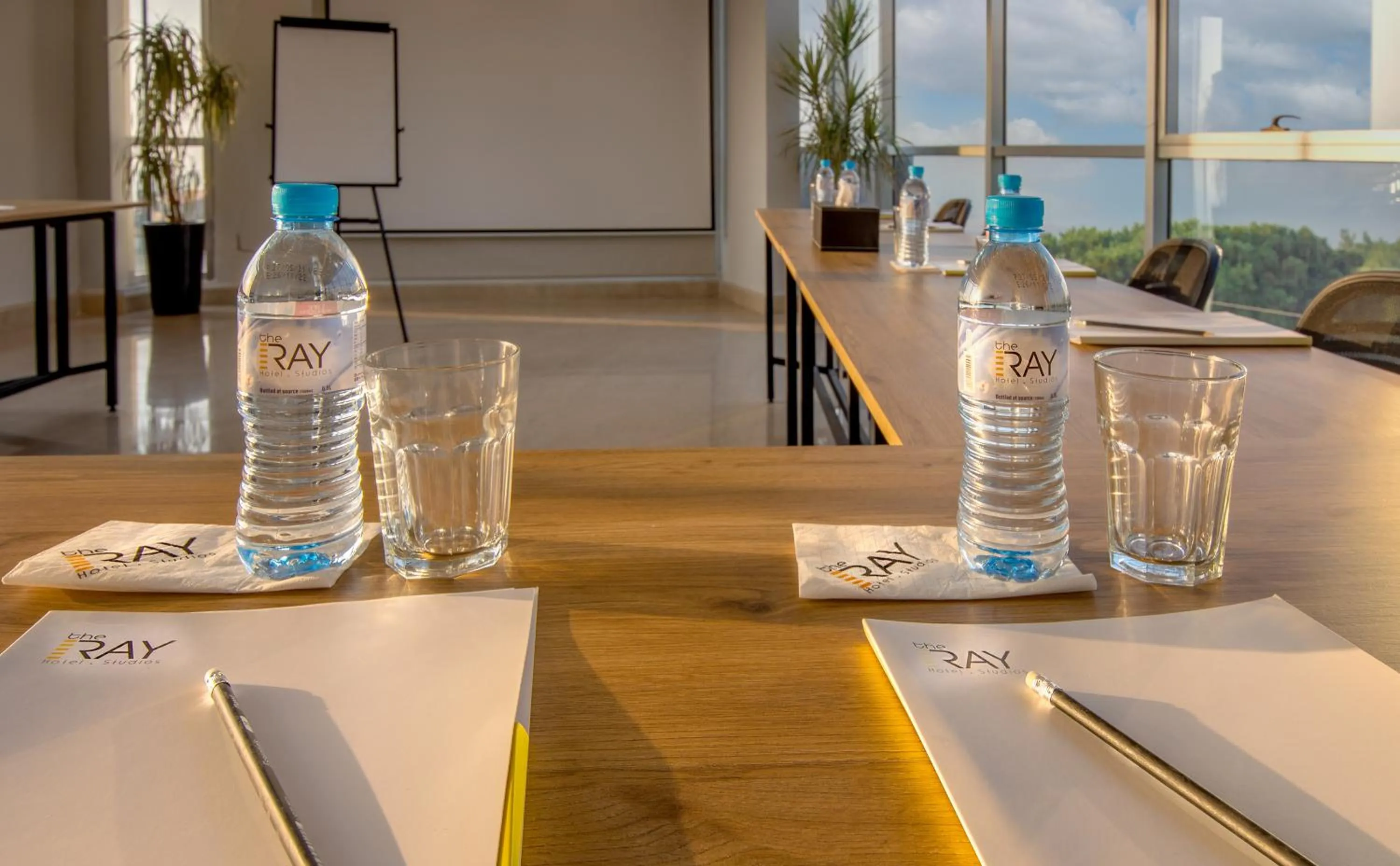 Business facilities in The Ray Hotel and Studios