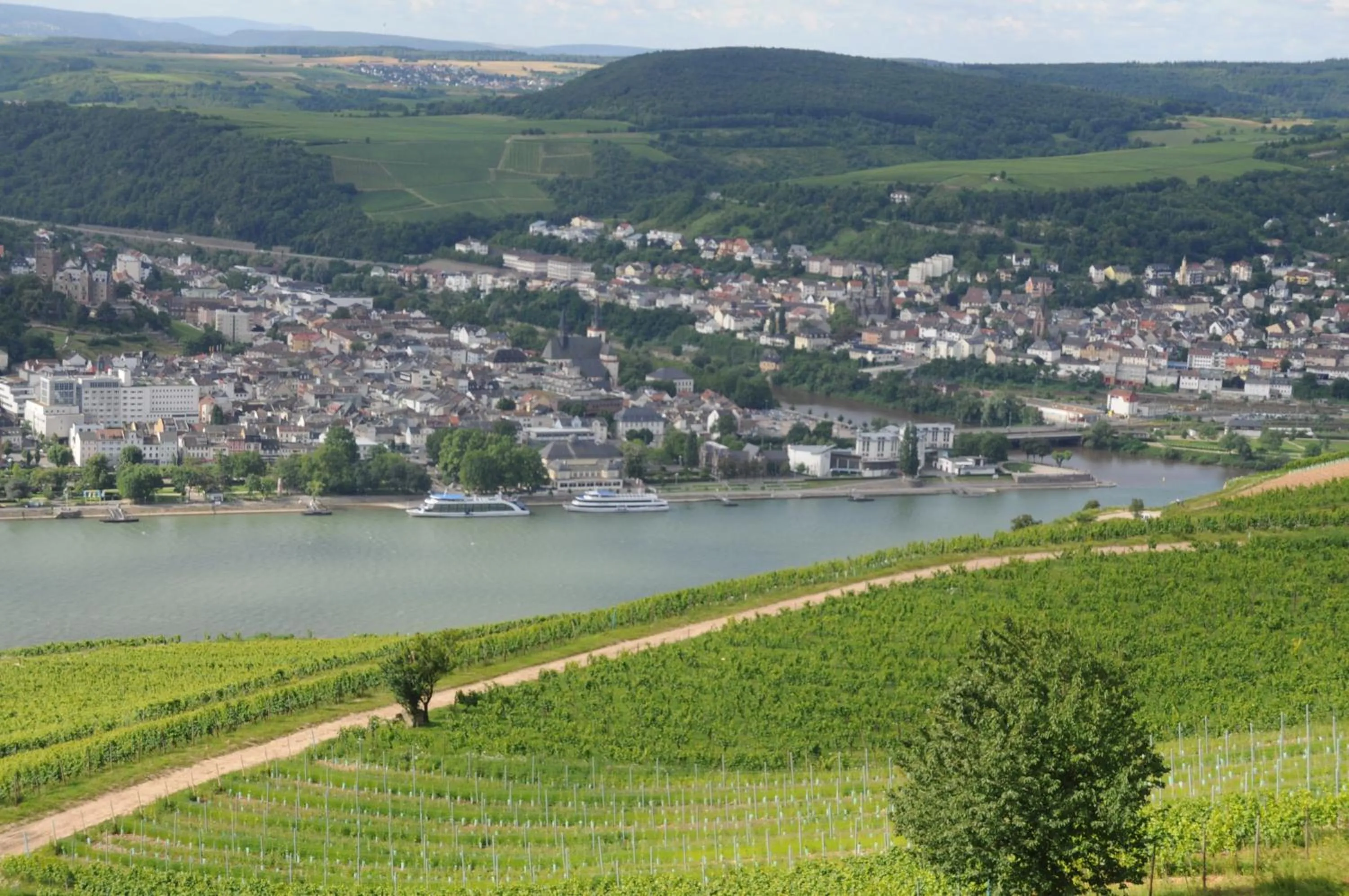 Natural landscape in Hotel Krone Rüdesheim