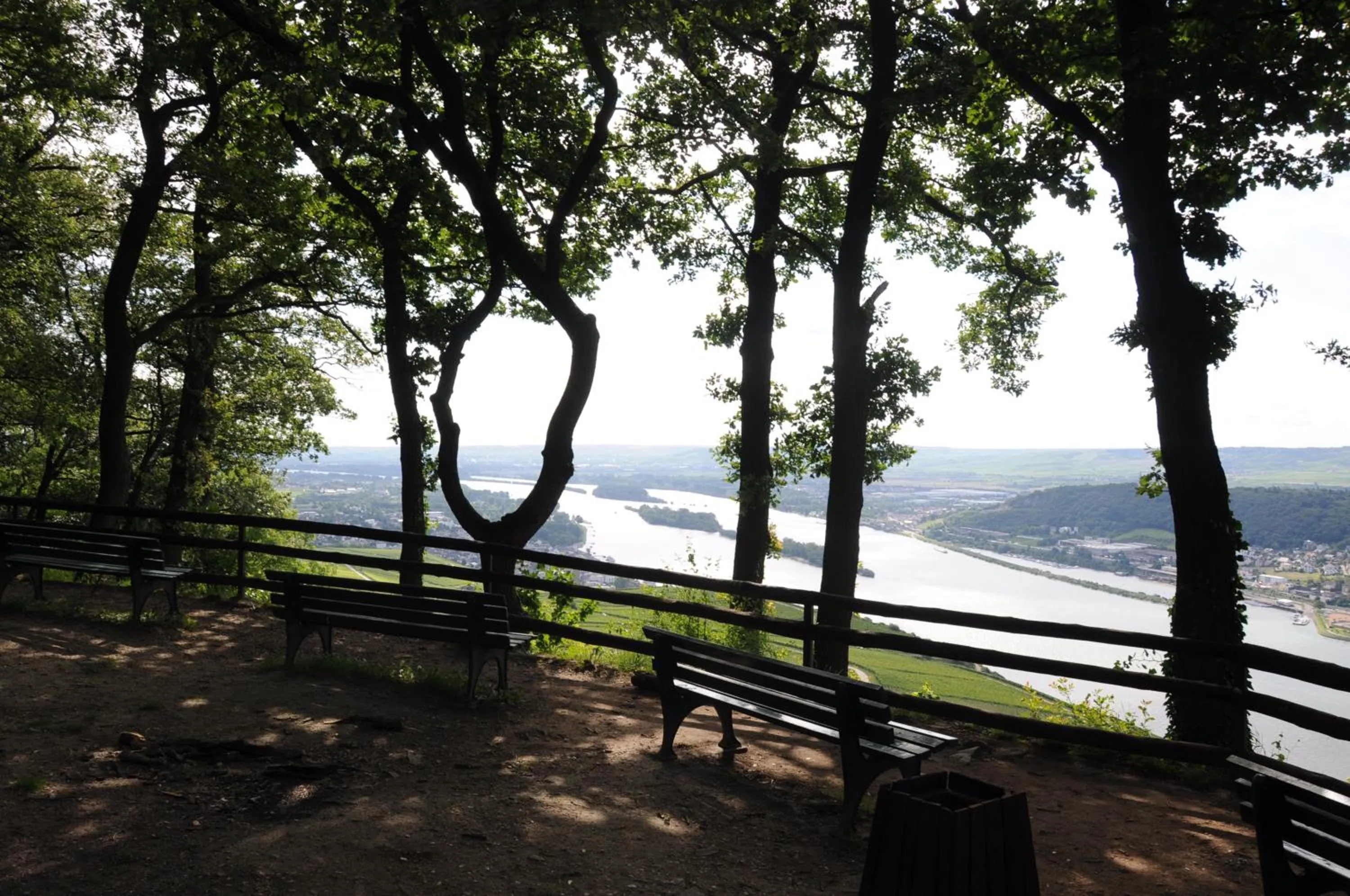 Natural landscape in Hotel Krone Rüdesheim