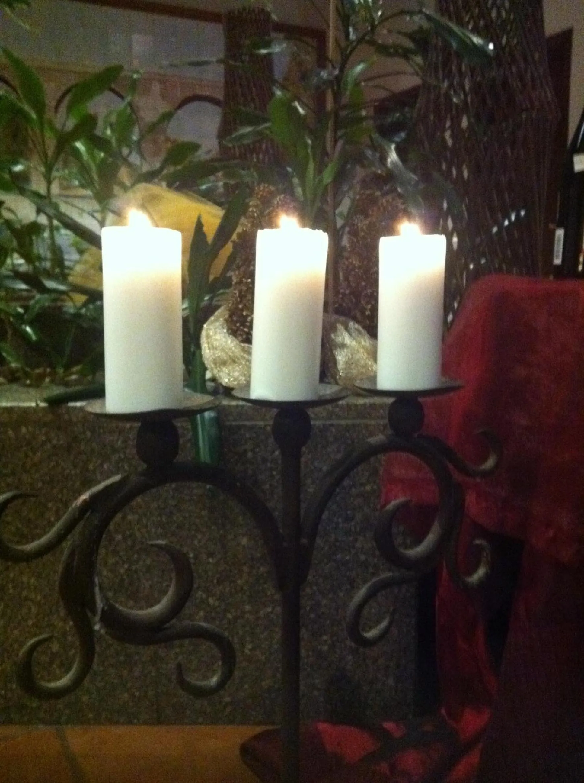 Decorative detail in Hotel Pantanha Nature & Fitness