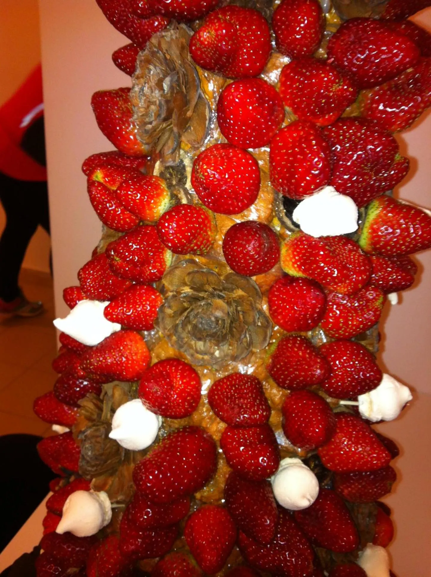 Food close-up in Hotel Pantanha Nature & Fitness