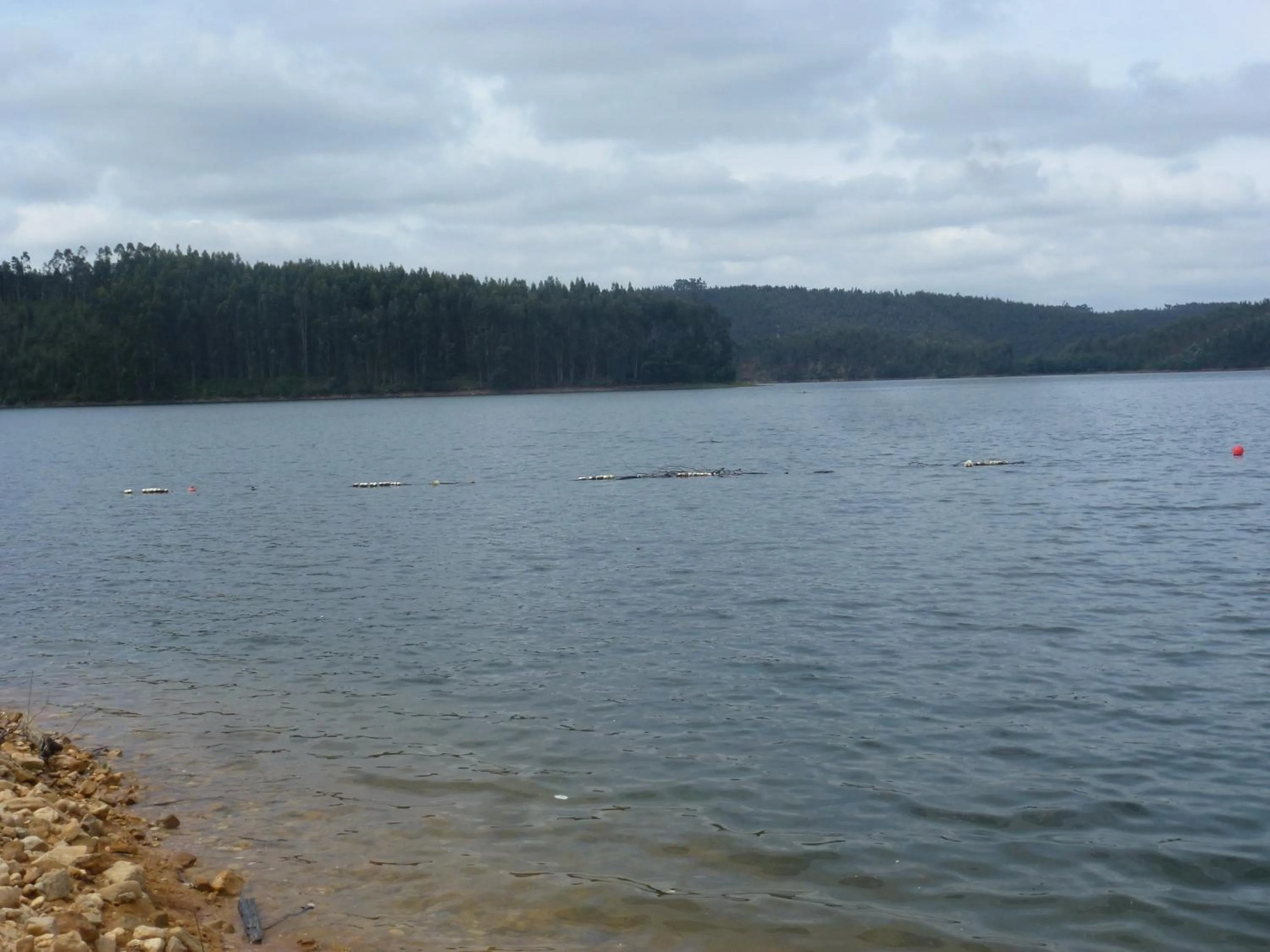 Natural landscape in Hotel Pantanha Nature & Fitness