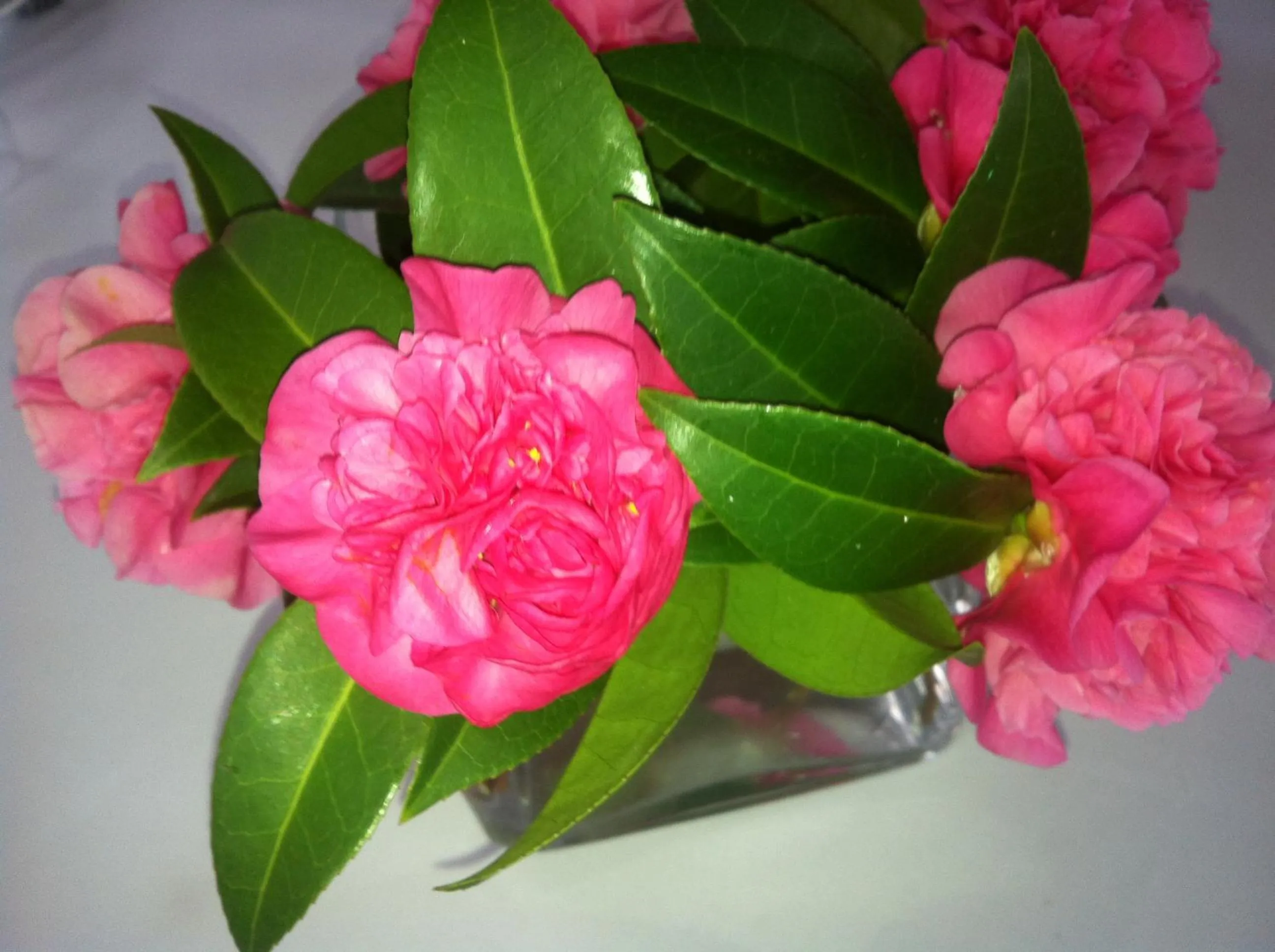 Decorative detail in Hotel Pantanha Nature & Fitness