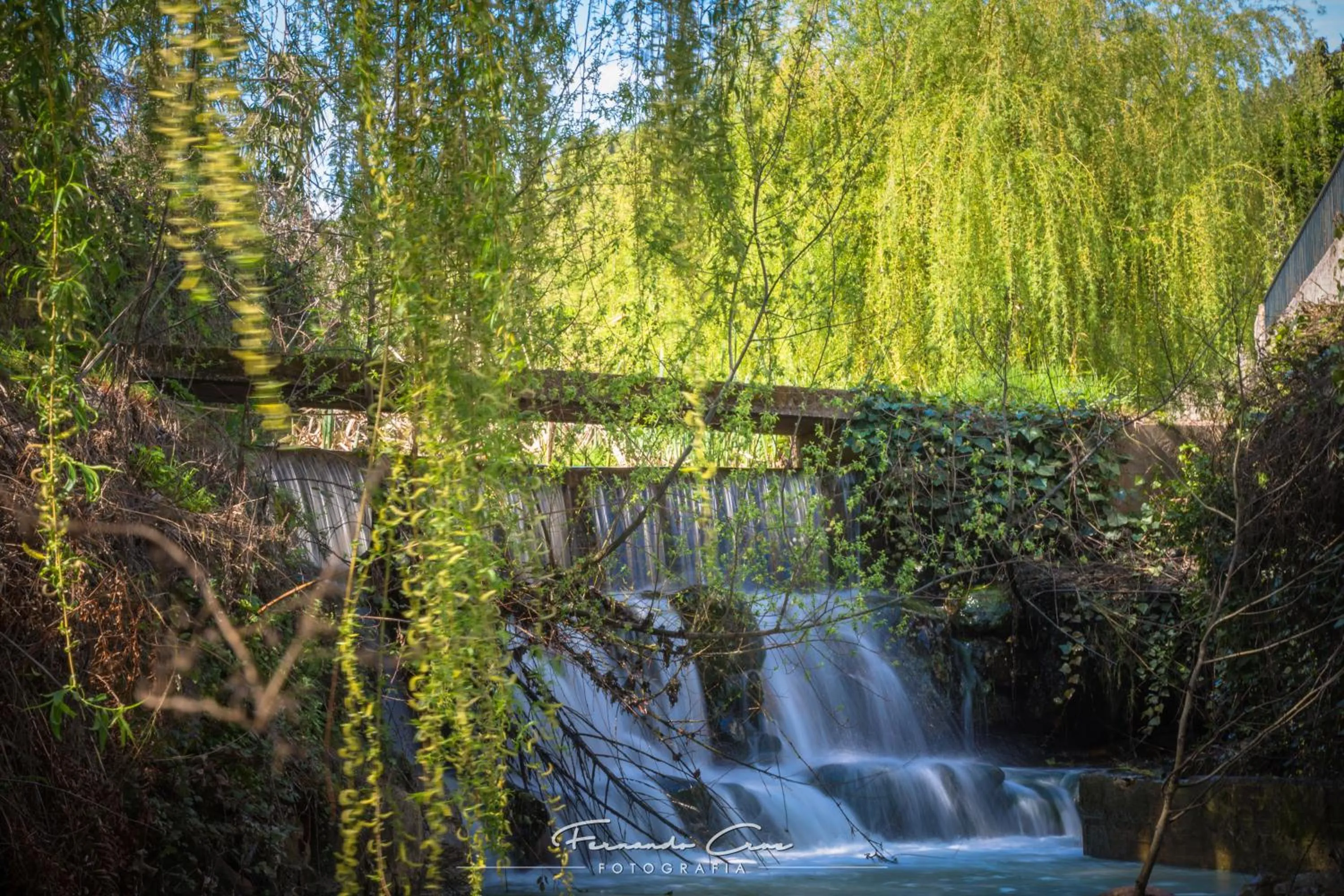Natural landscape in Hotel Pantanha Nature & Fitness