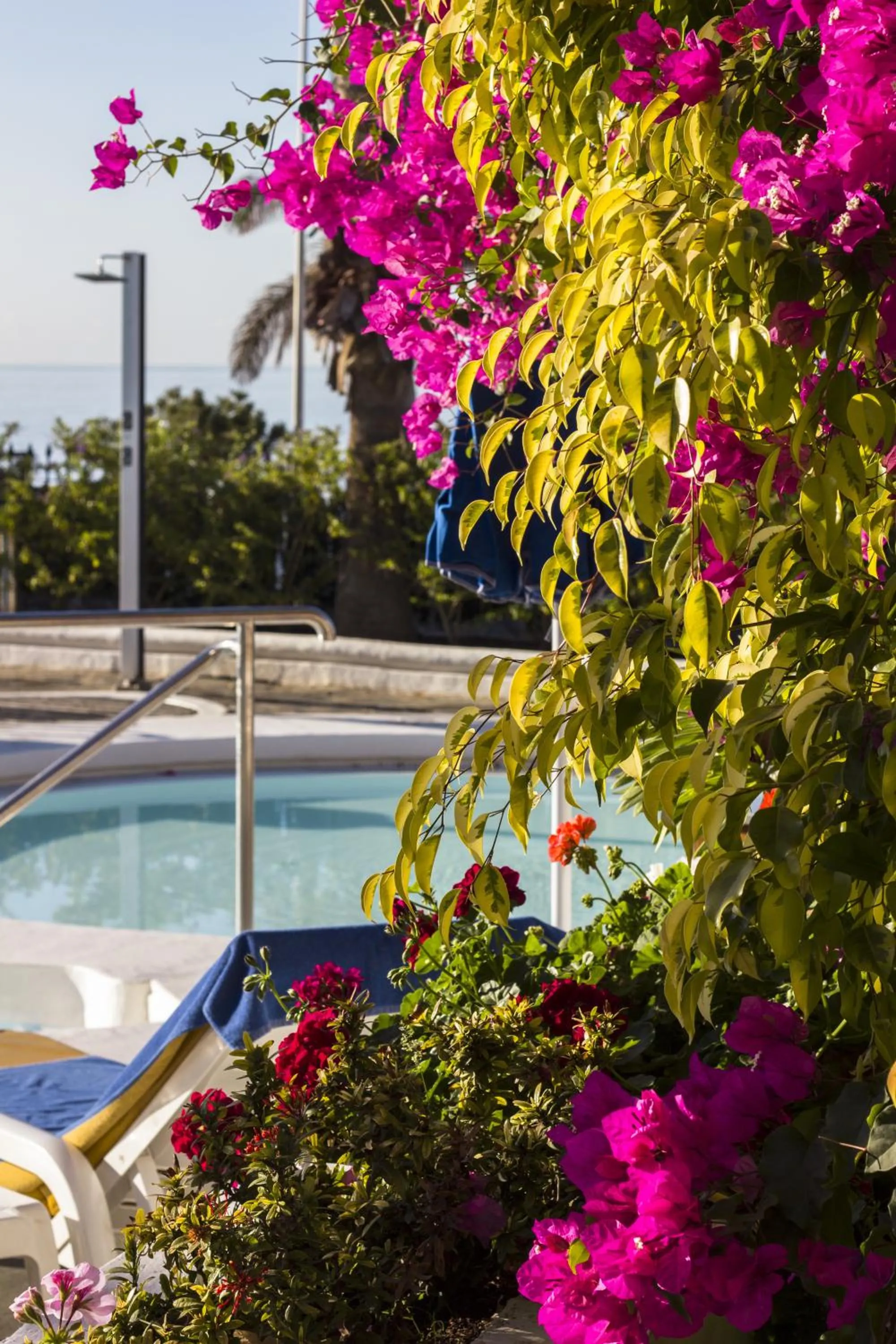 Spring in Sunsuites Carolina