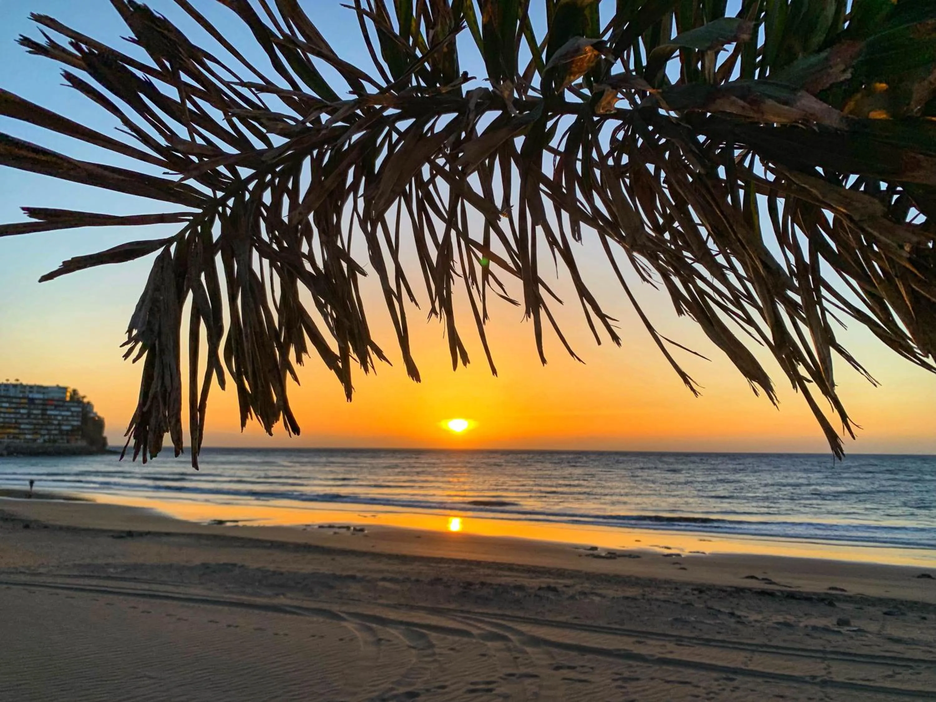 Beach in Sunsuites Carolina