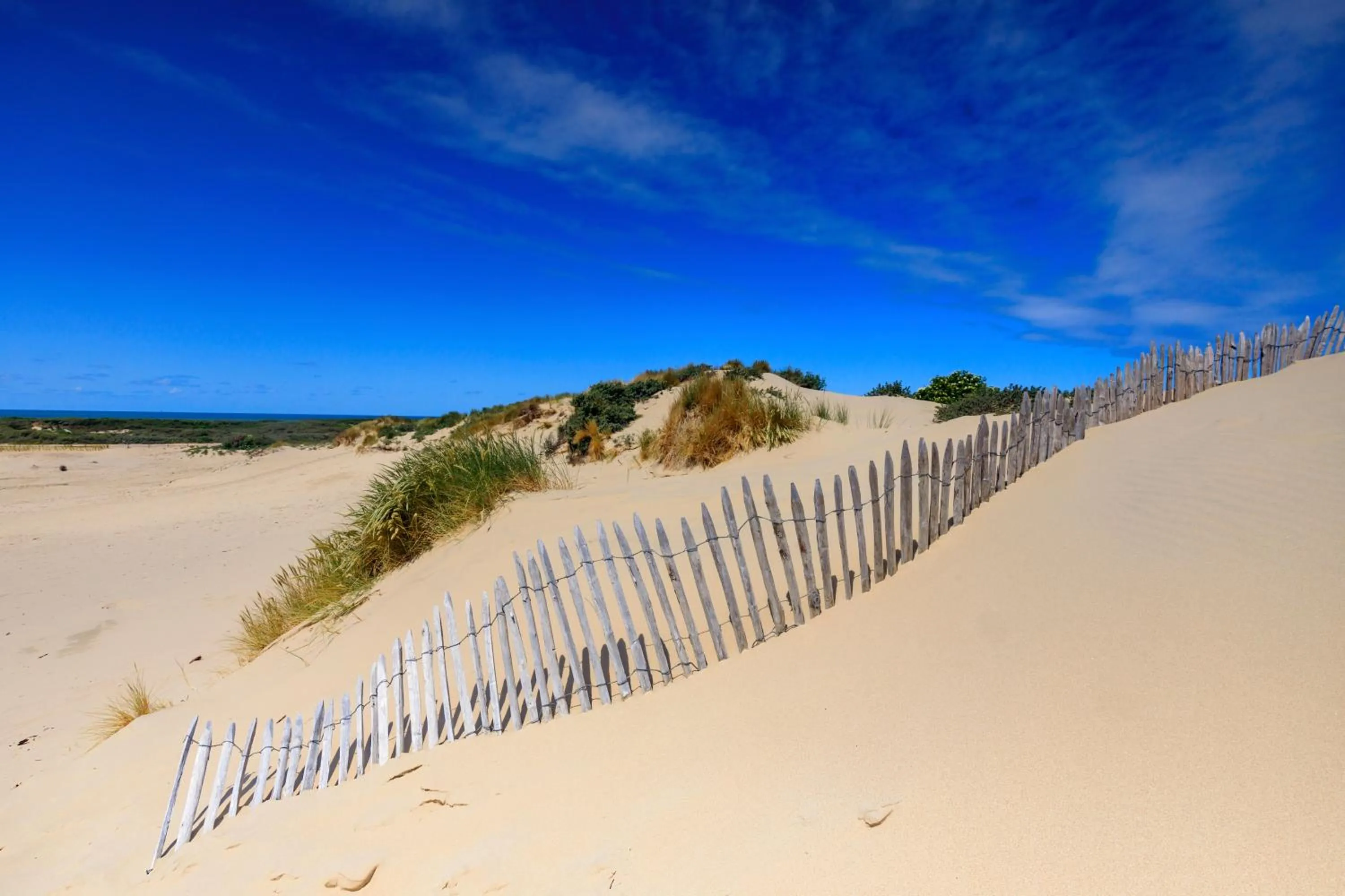 Beach in Holiday Inn The Hague - Voorburg, an IHG Hotel