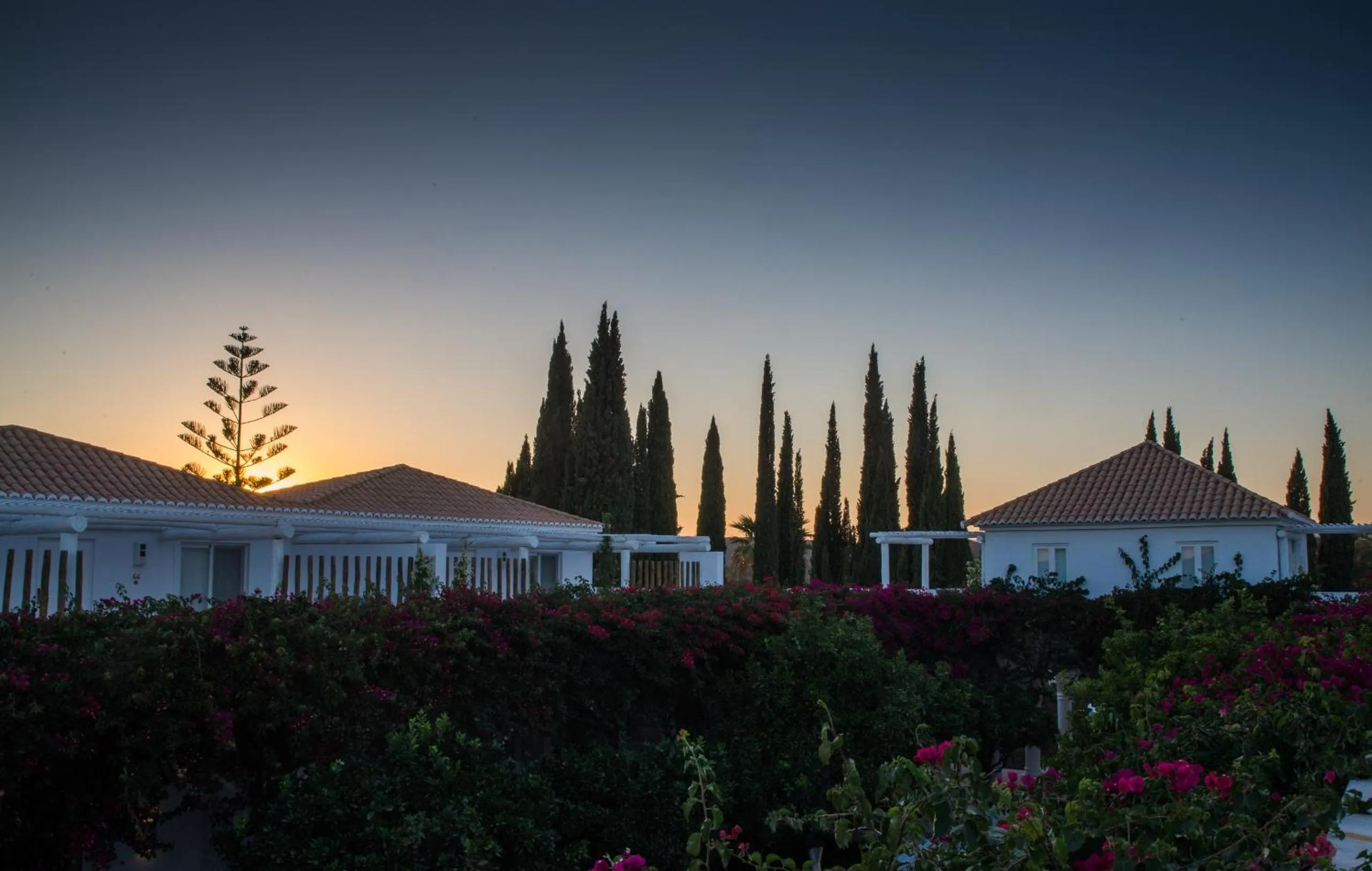 Bird's eye view in Octant Vila Monte