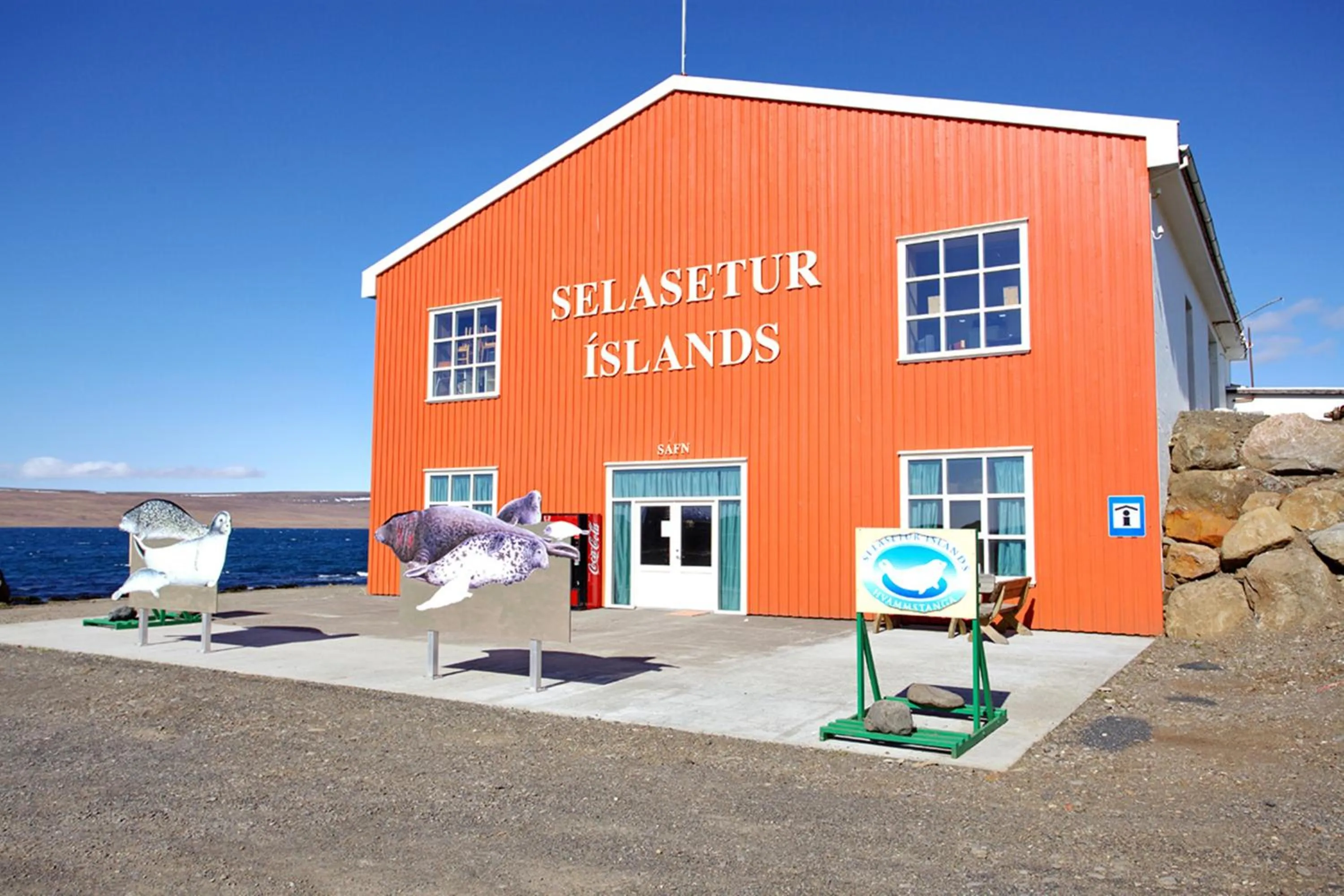 Entertainment in ALBERT Guesthouse