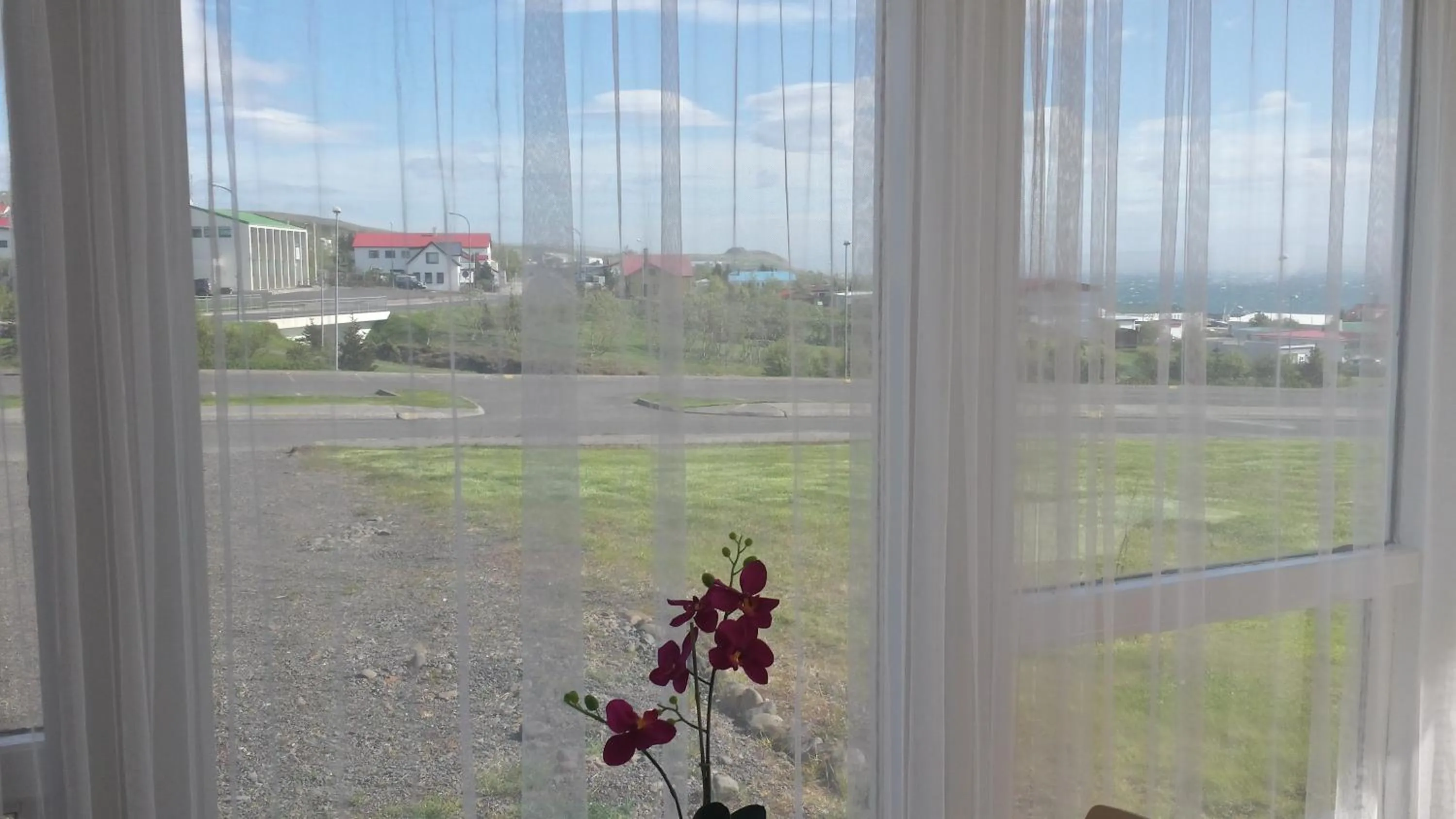 Day in ALBERT Guesthouse