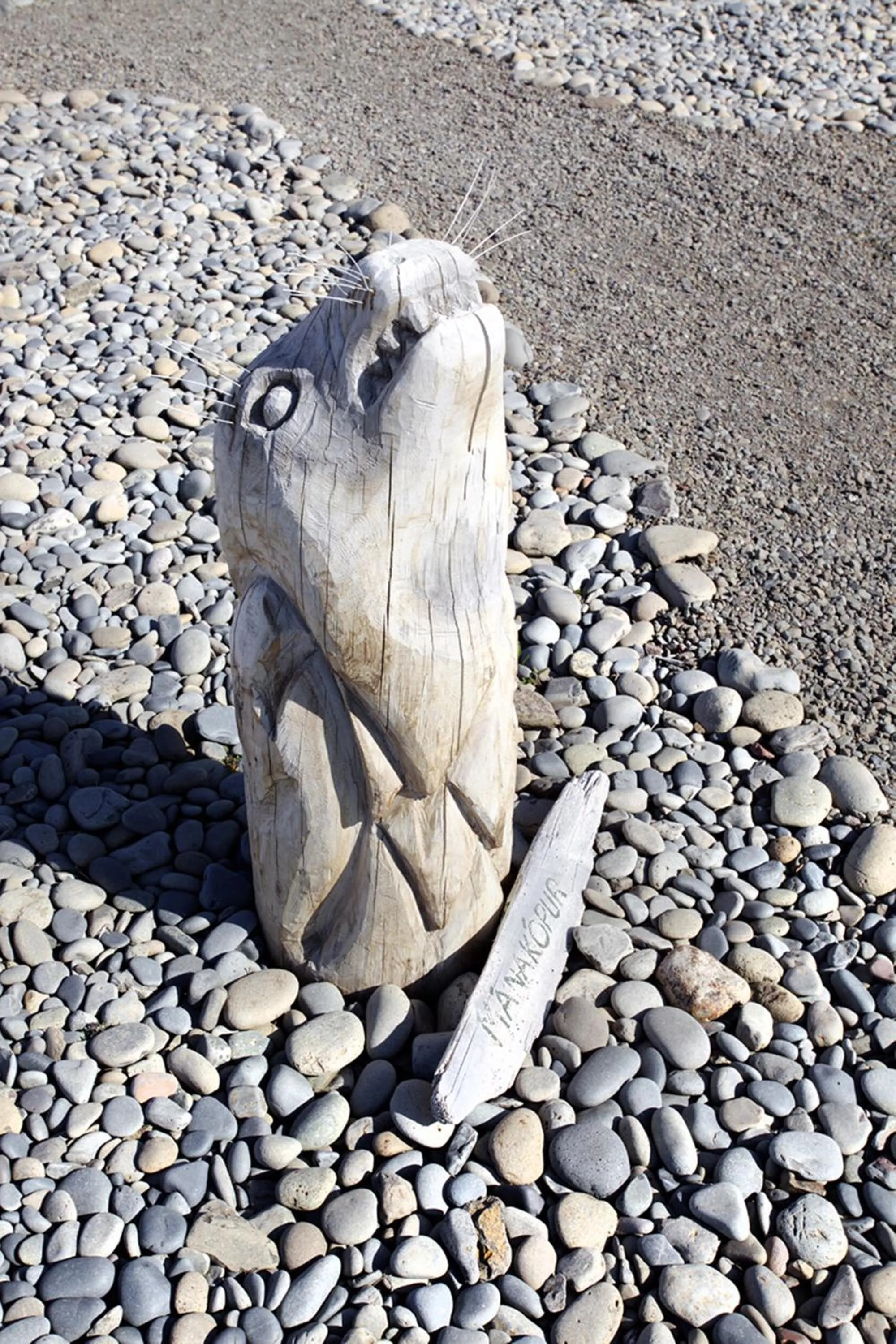 Day in ALBERT Guesthouse