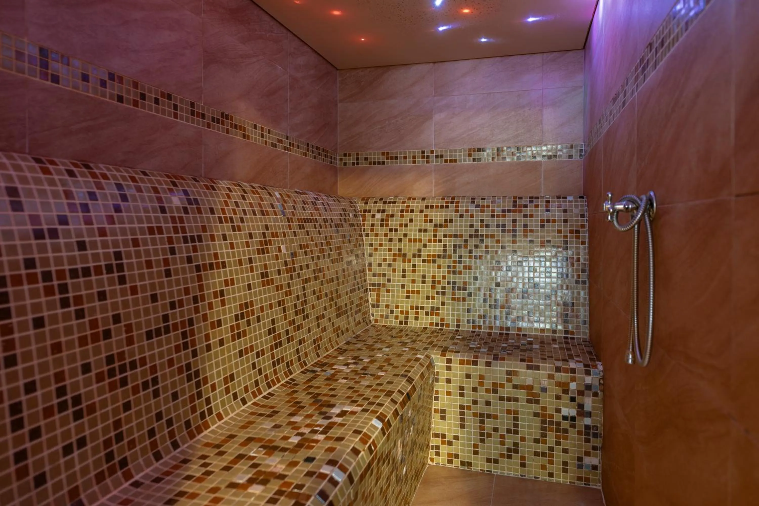 Sauna in Villa Wernera Hotel & Spa