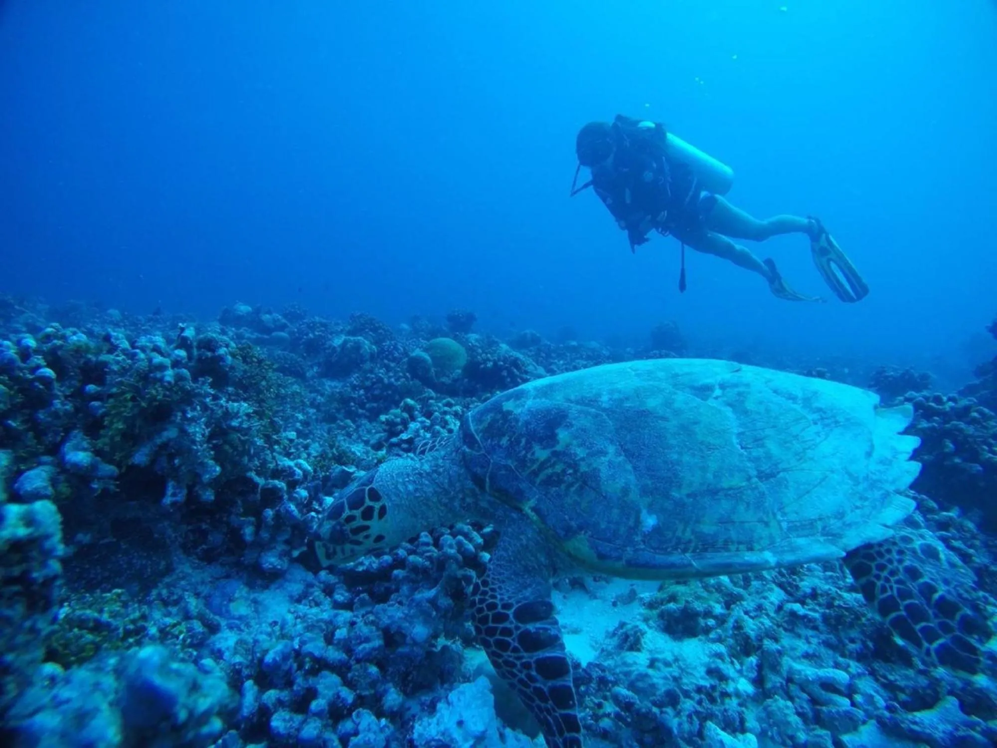 Sandy Heaven Maldives