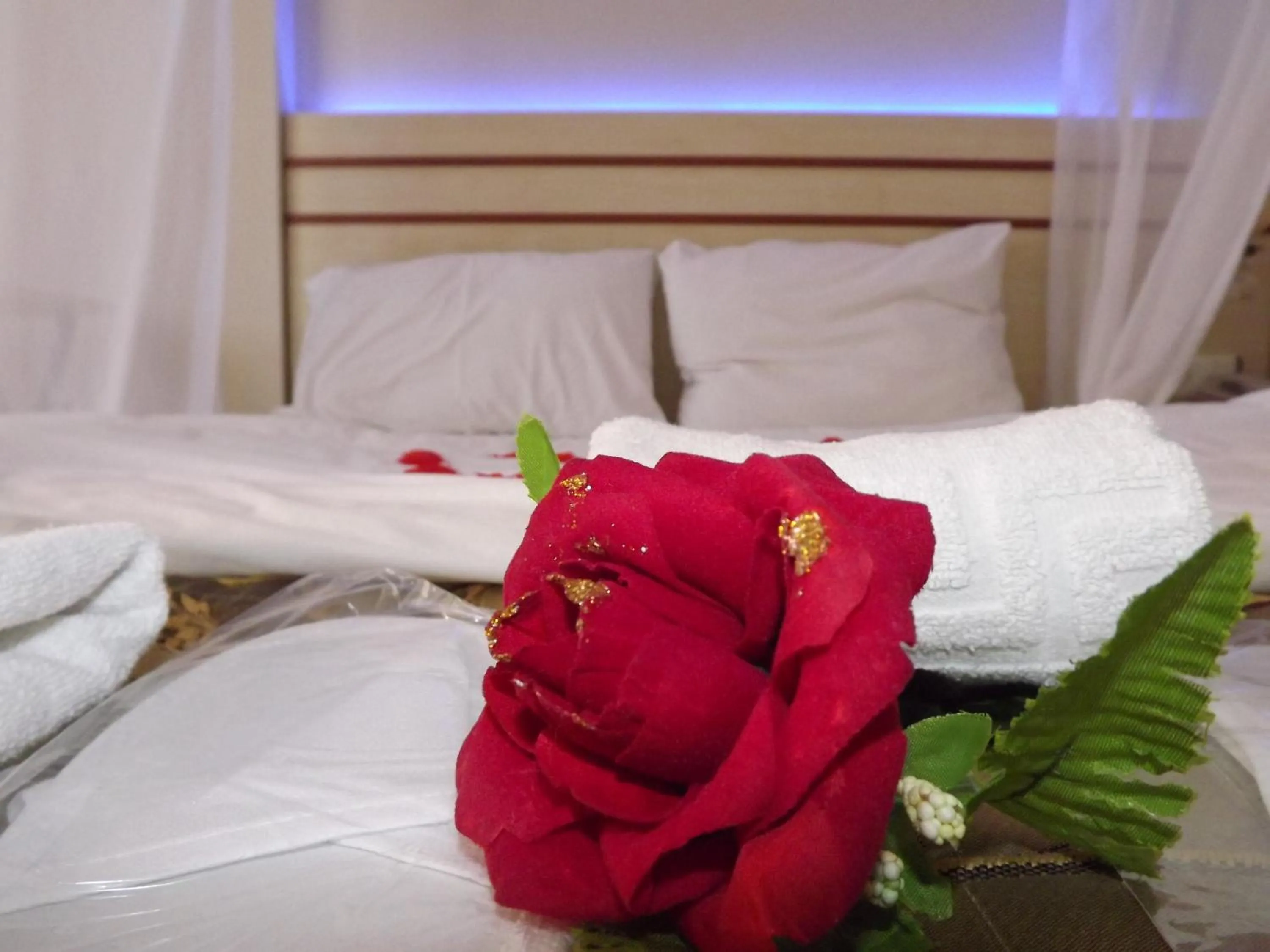 Bed in Ağva Ayışığı Otel