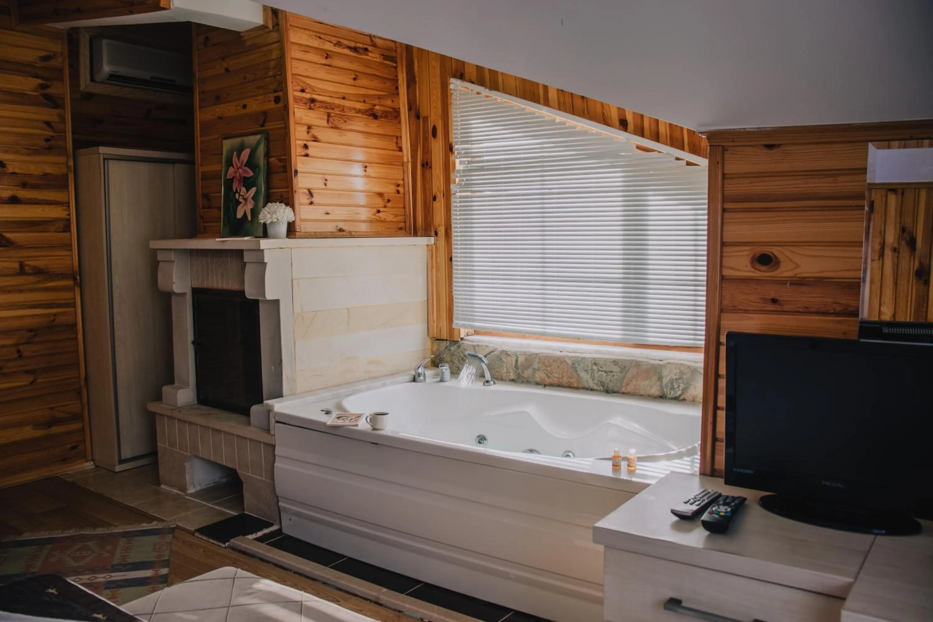 TV and multimedia in Ağva Ayışığı Otel