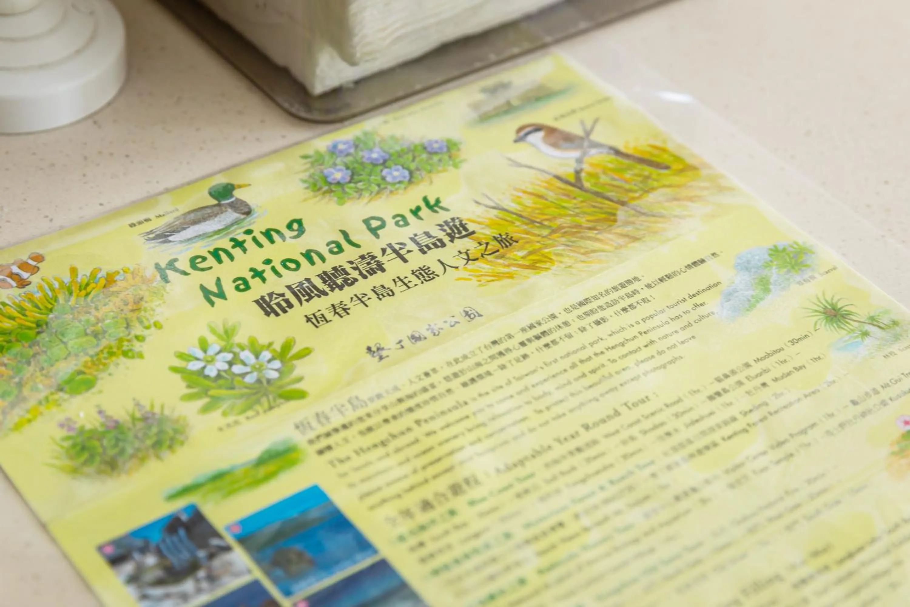 Photo of the whole room in Jhai Wu