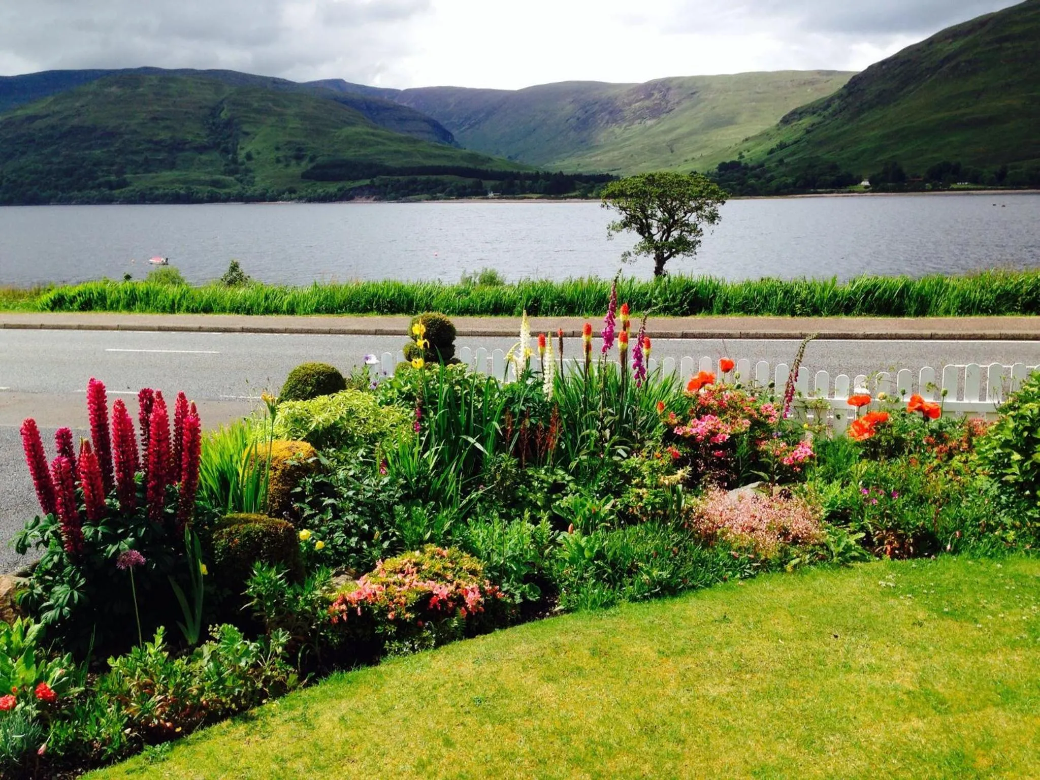 Summer in Hillview Guest House