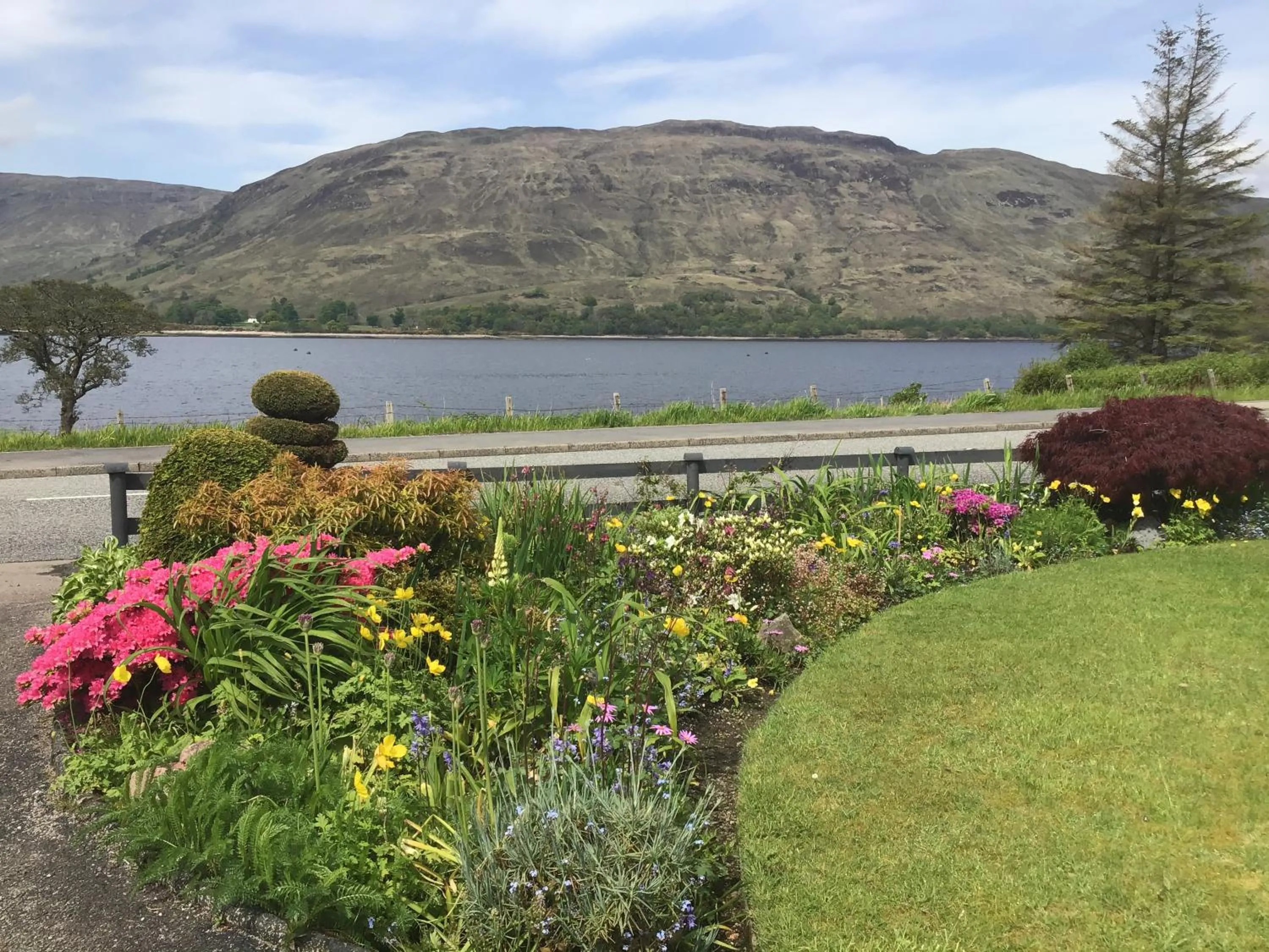 Garden view in Hillview Guest House