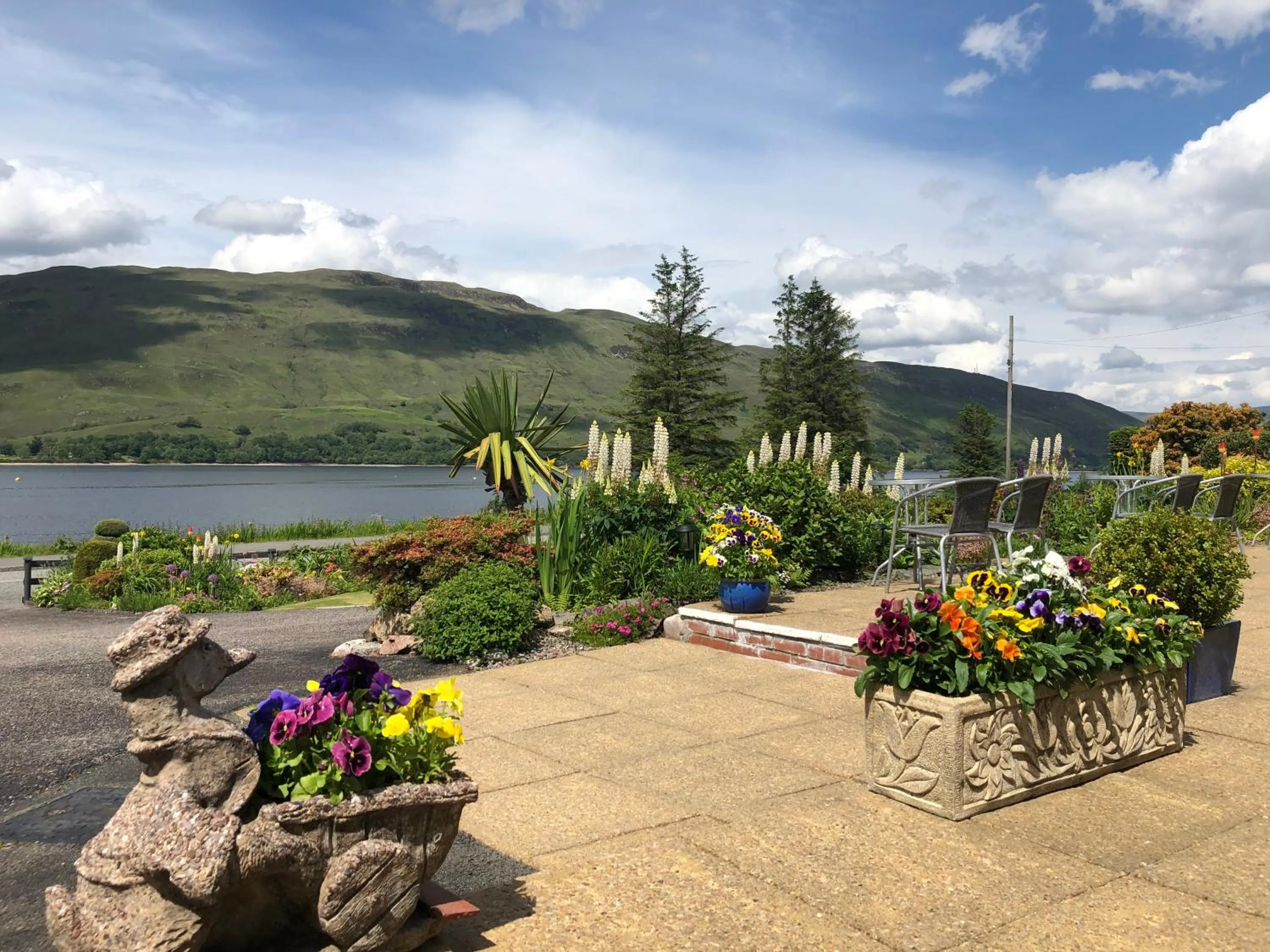 Garden in Hillview Guest House