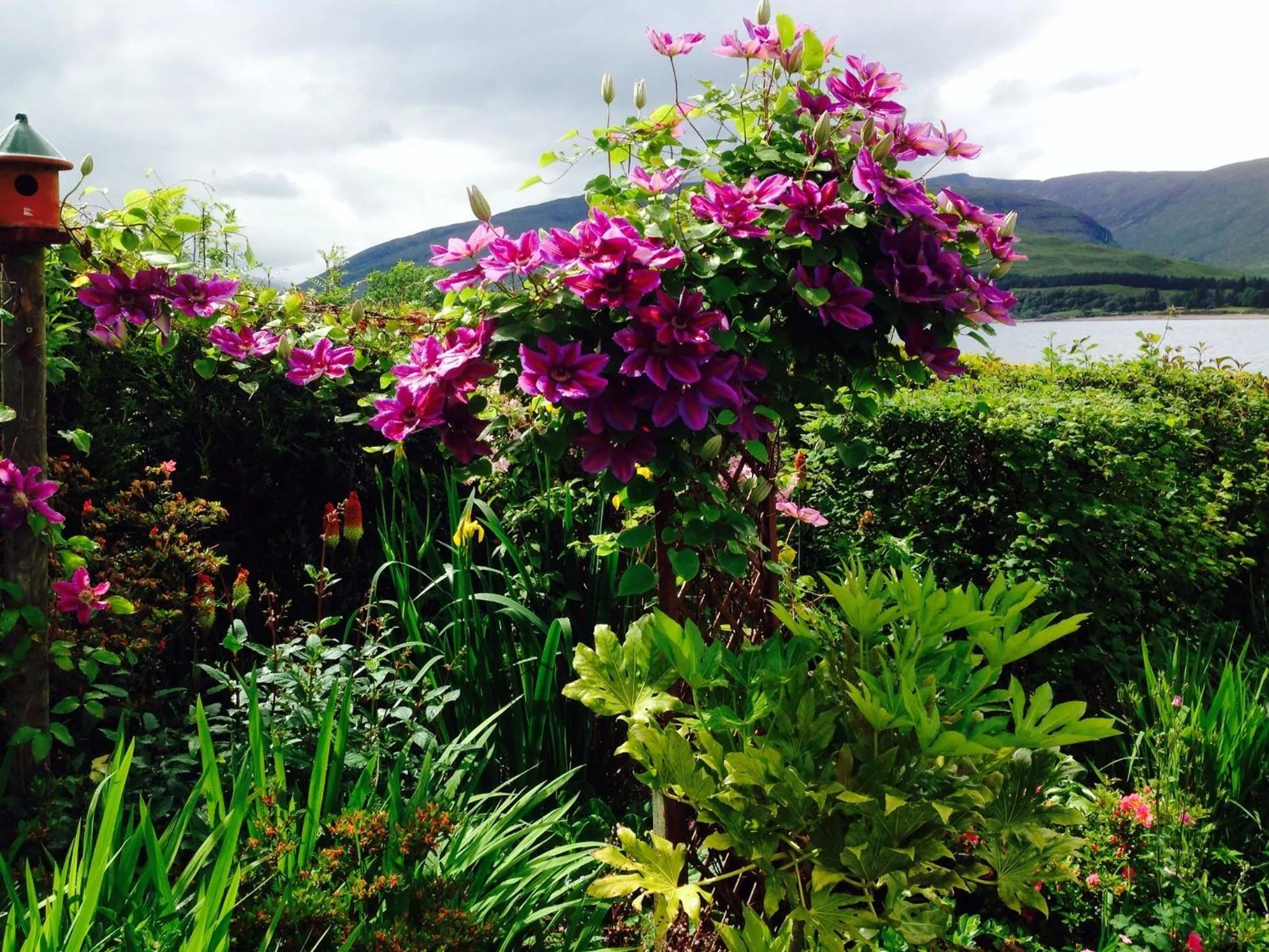 Garden in Hillview Guest House