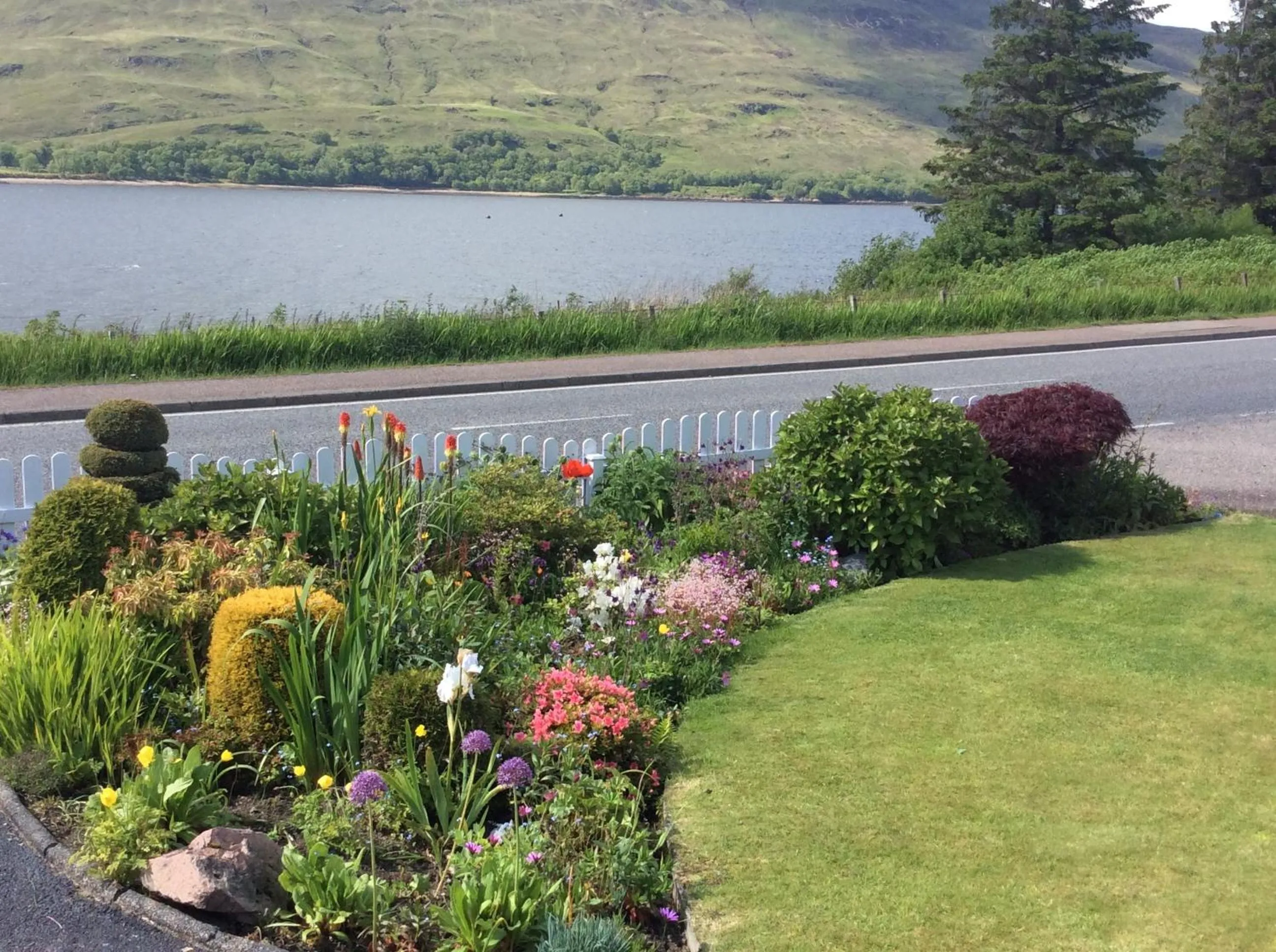 Spring in Hillview Guest House