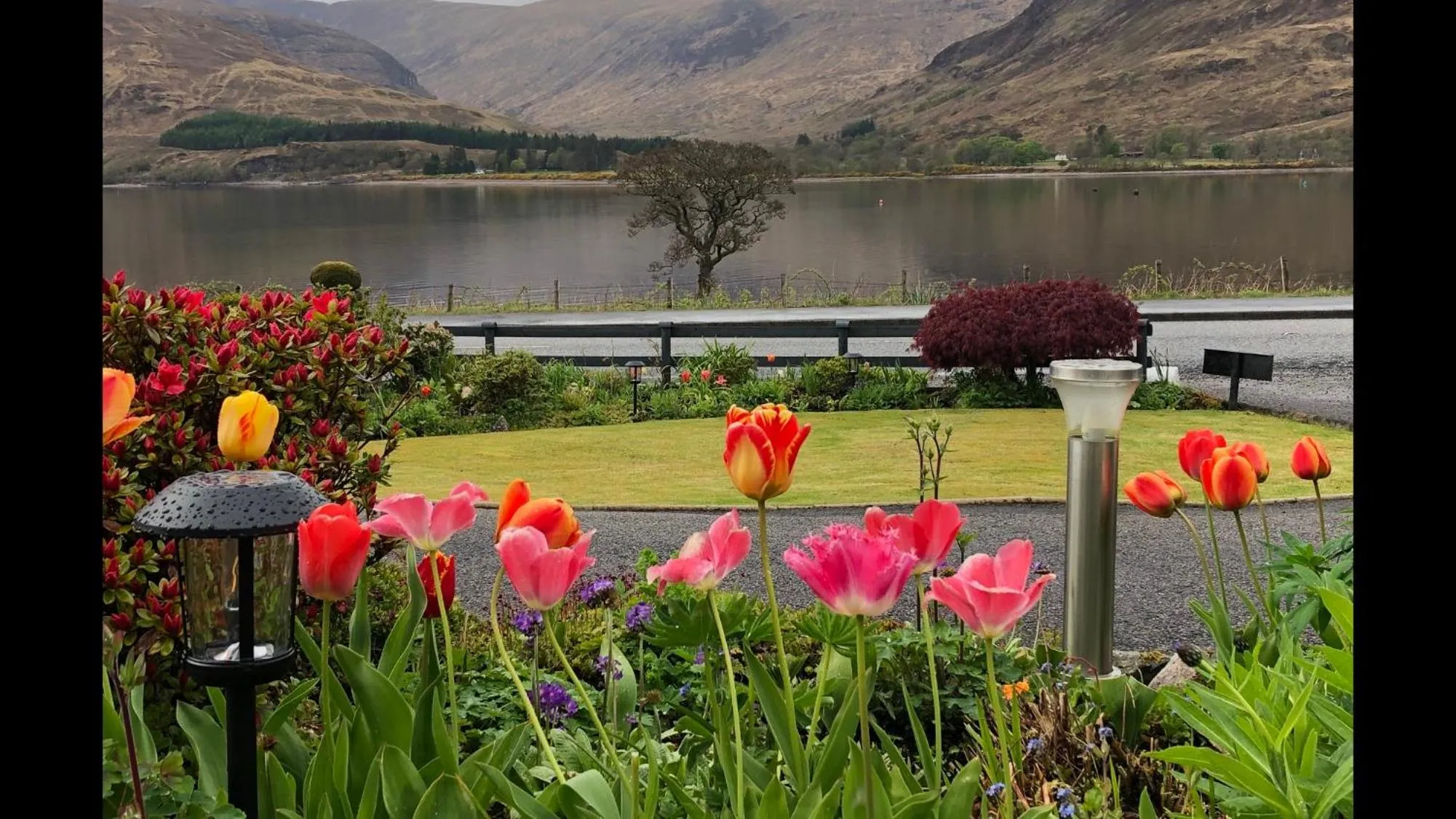 Garden in Hillview Guest House