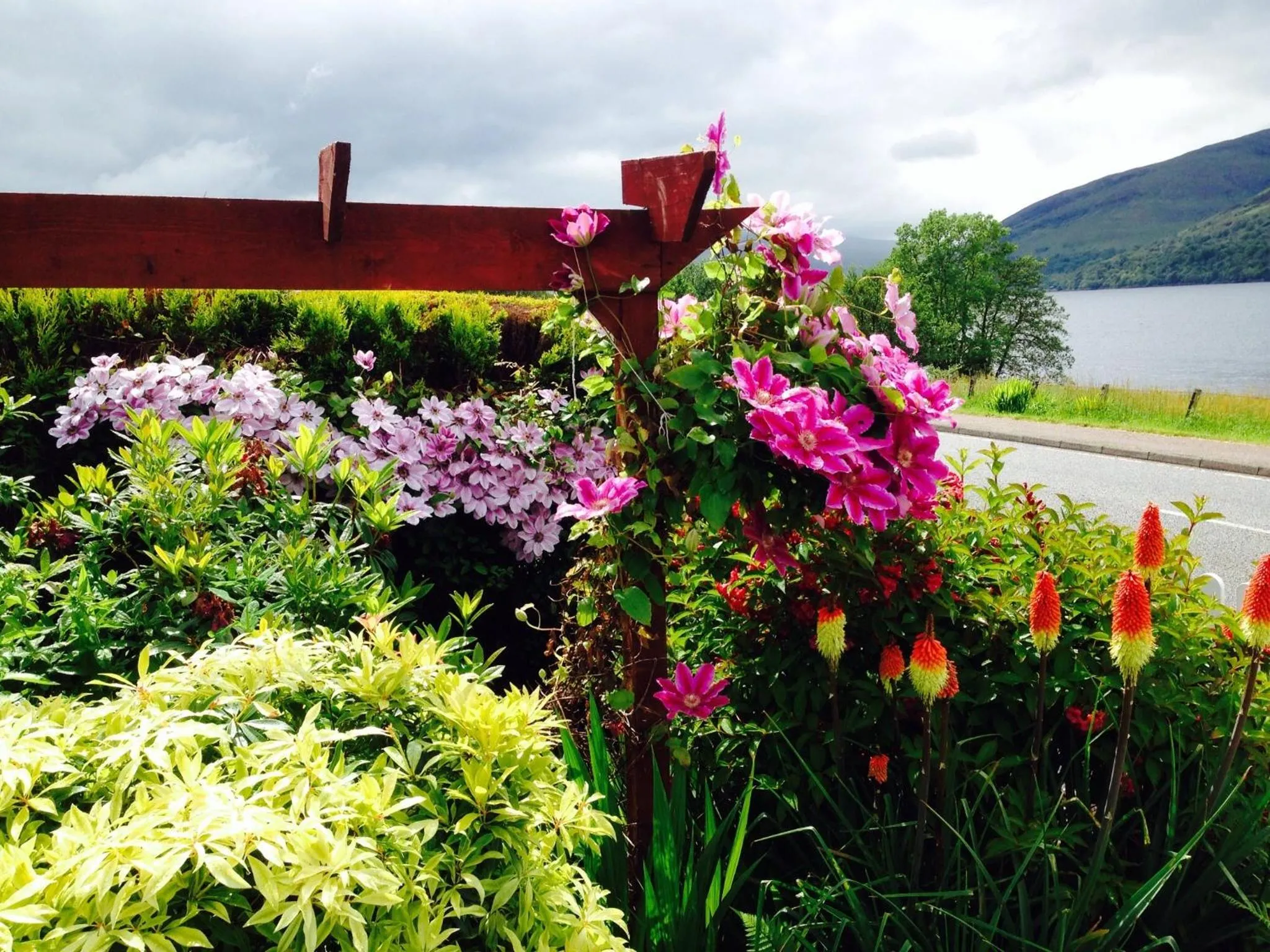 Garden in Hillview Guest House