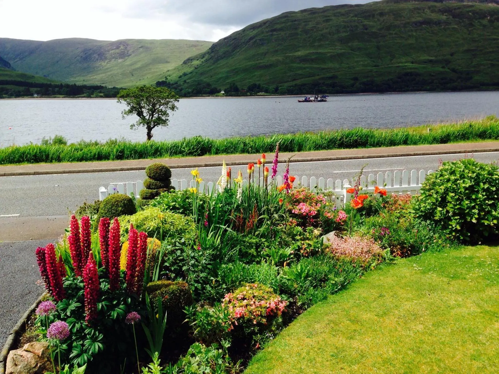 Summer in Hillview Guest House