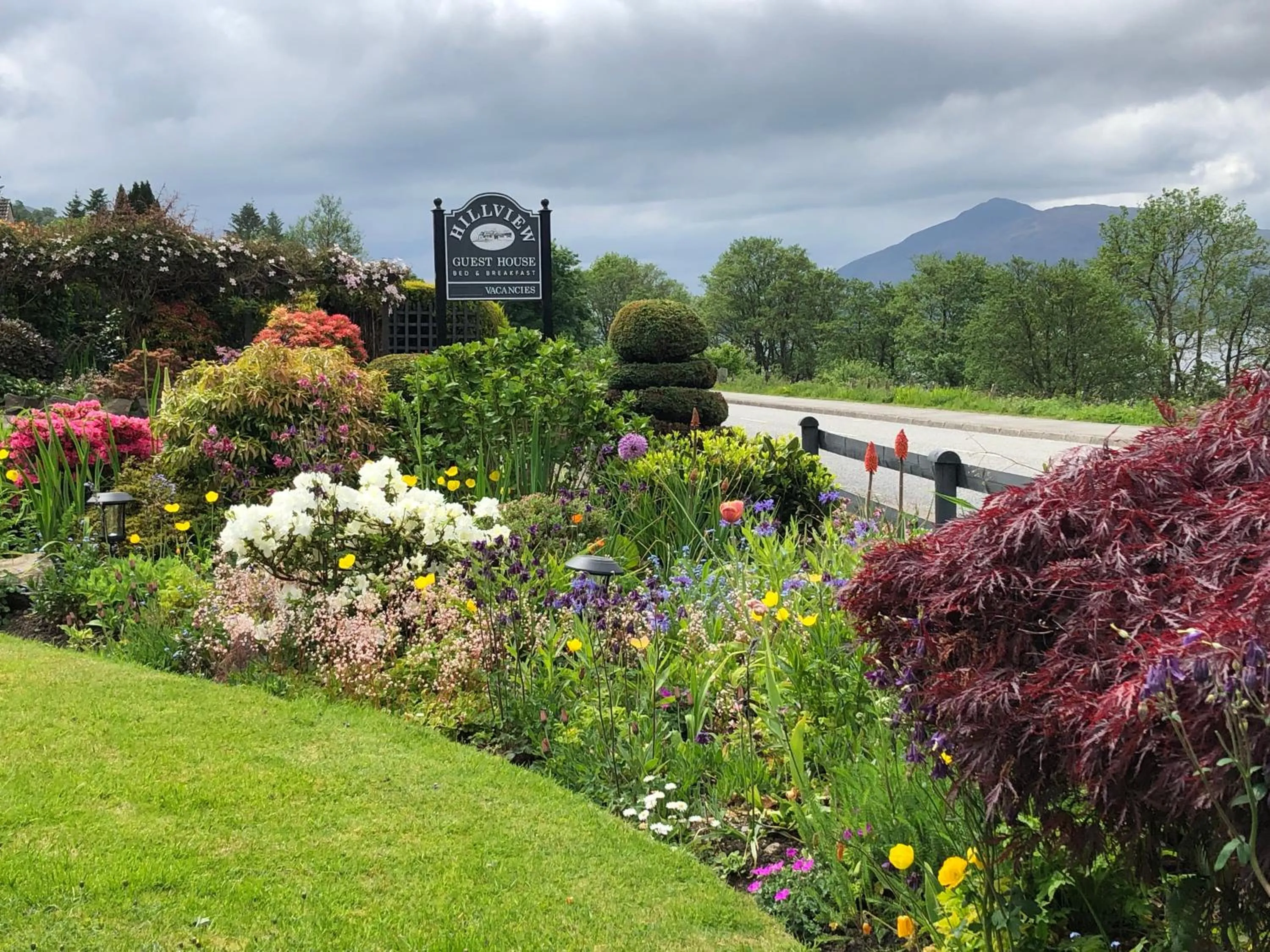 Garden view in Hillview Guest House