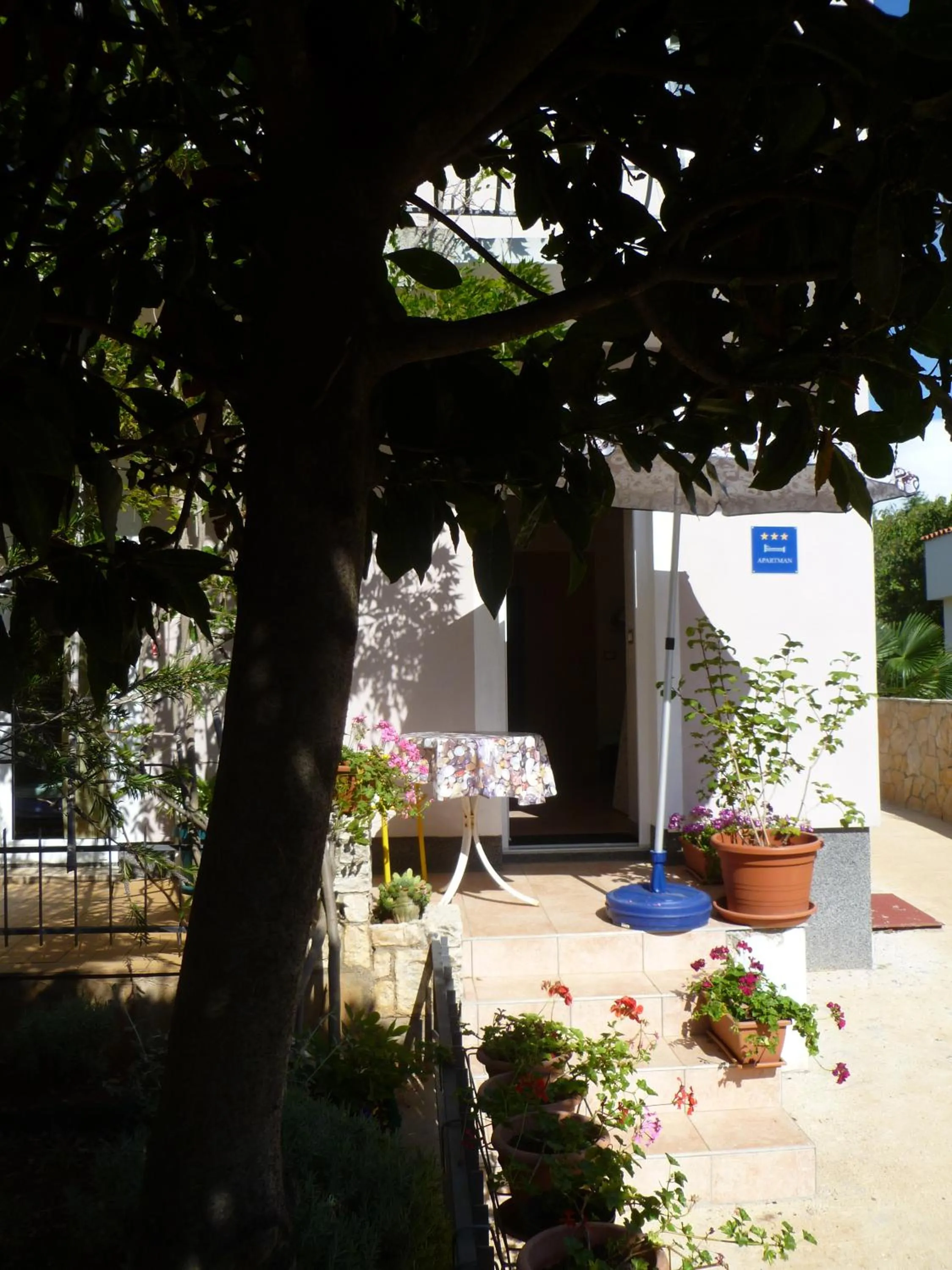 Single Room in Apartments Mirta