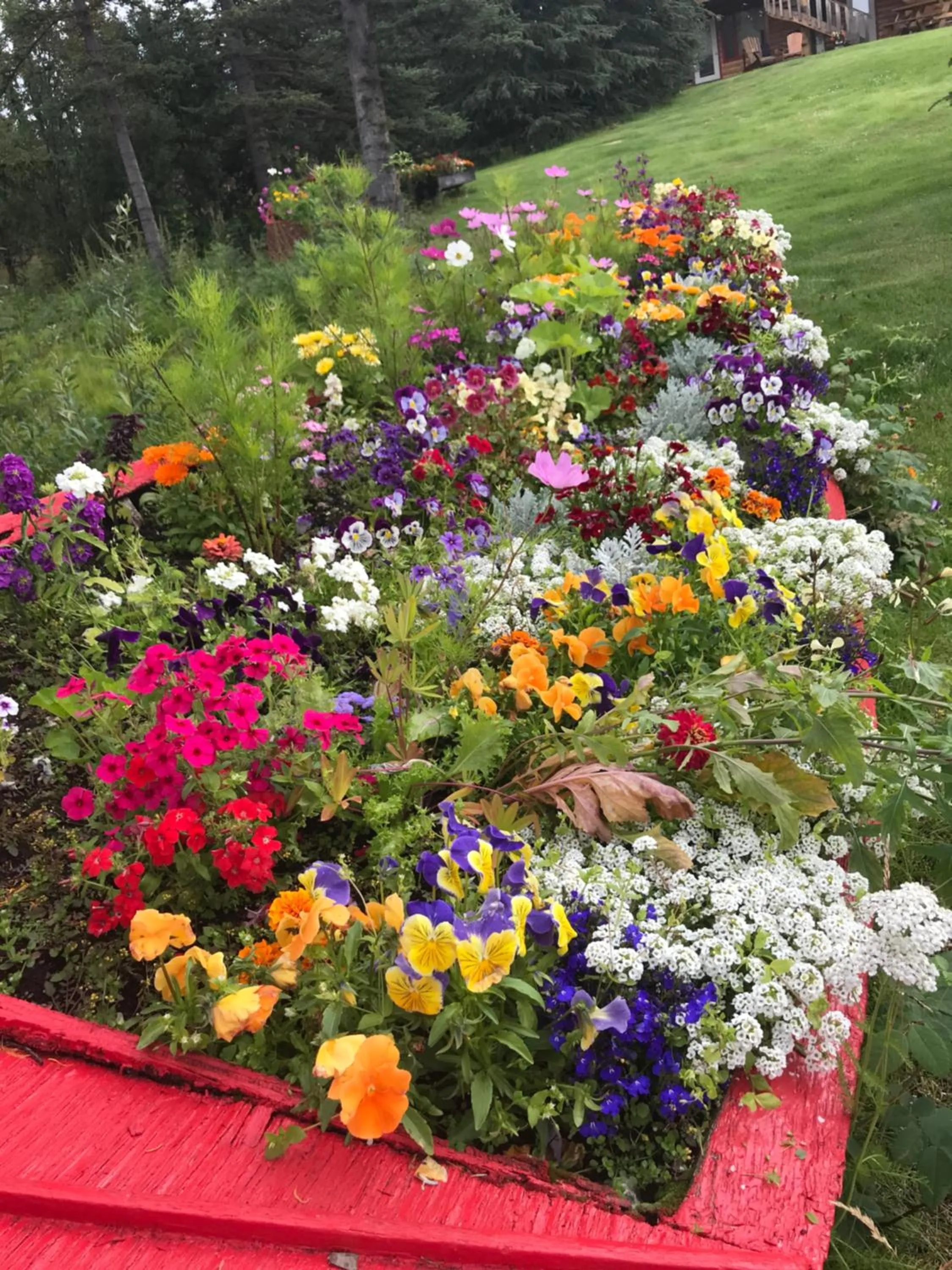 Lake Louise Lodge, Alaska