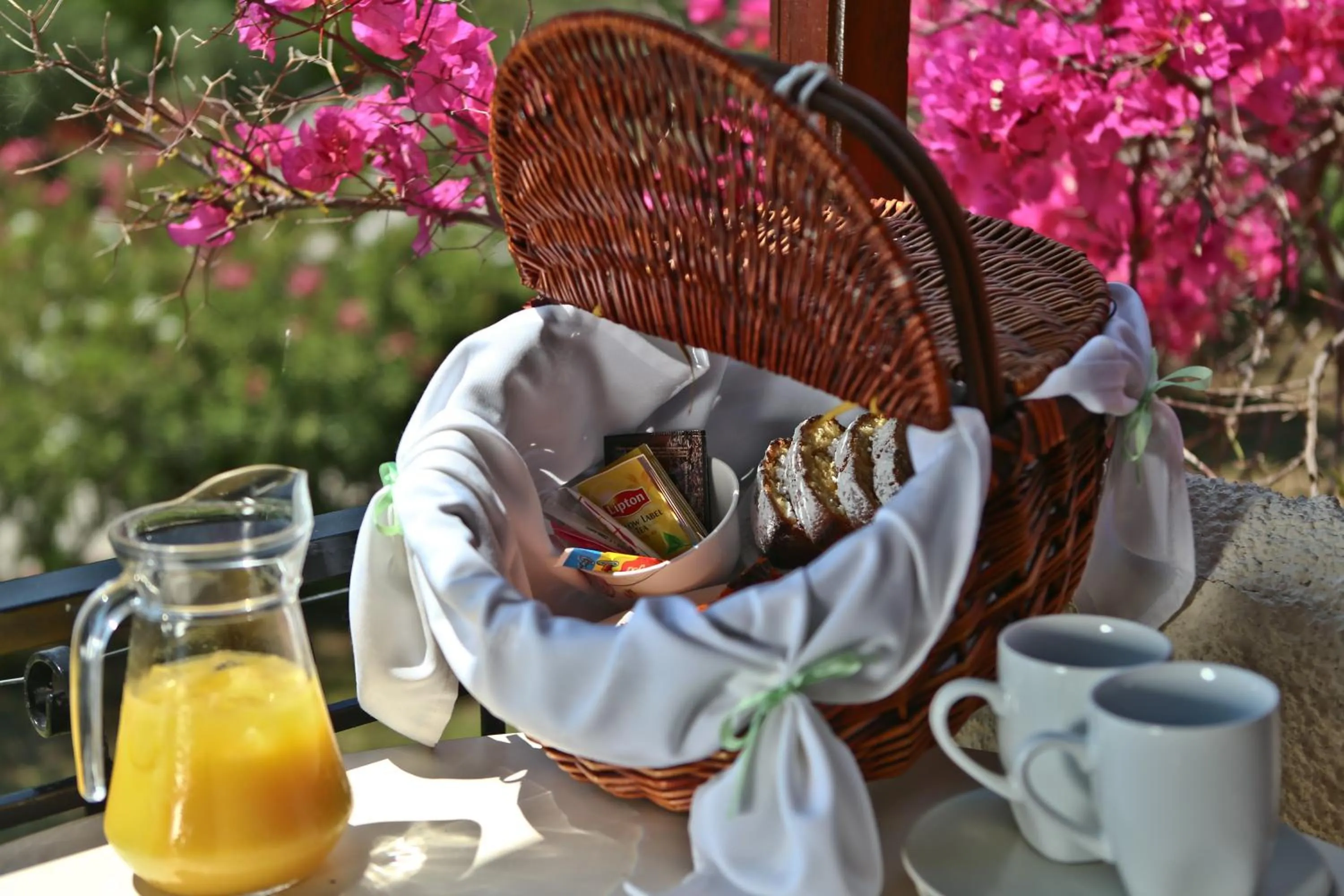 Breakfast in Dendrolivano