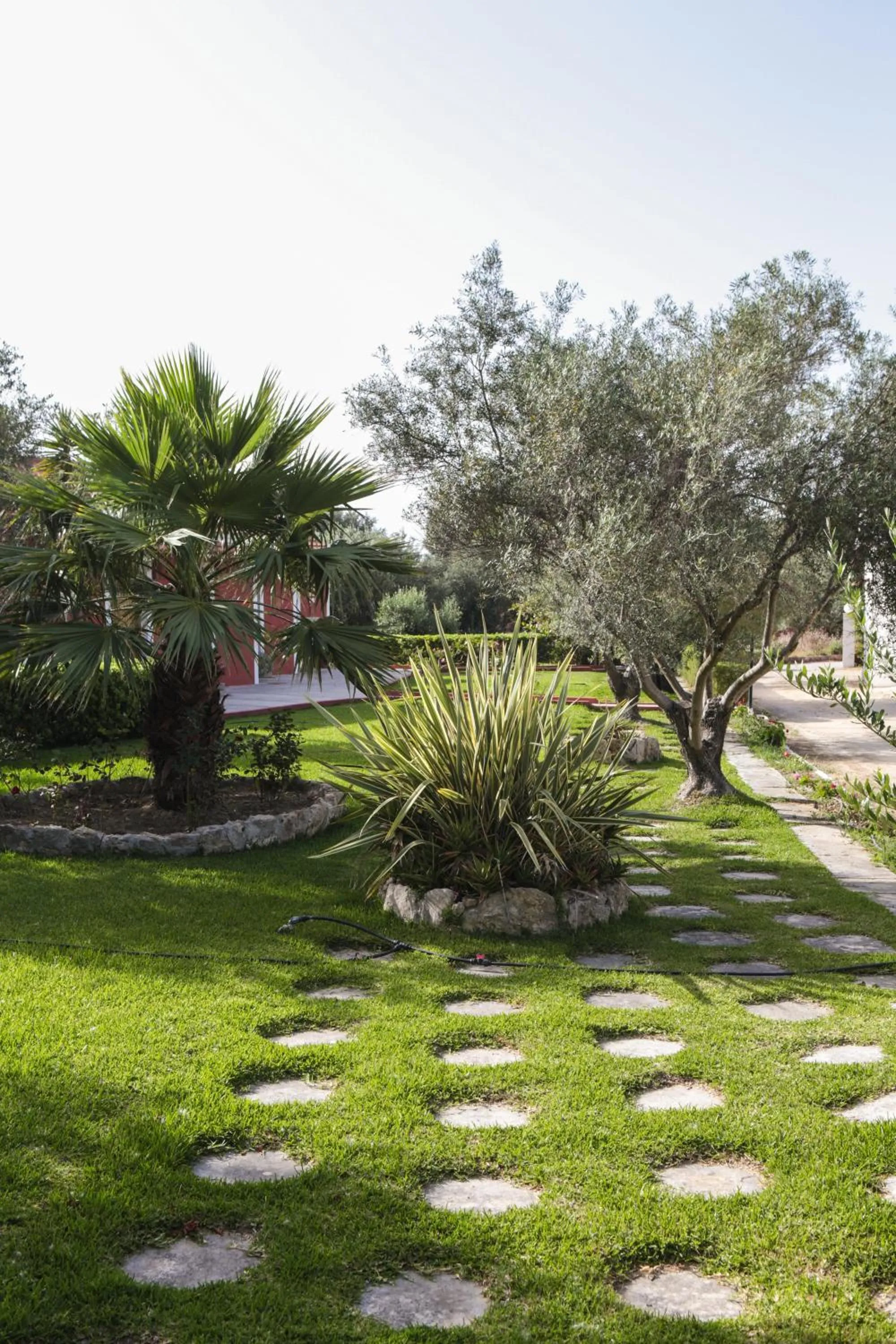 Garden in Dendrolivano